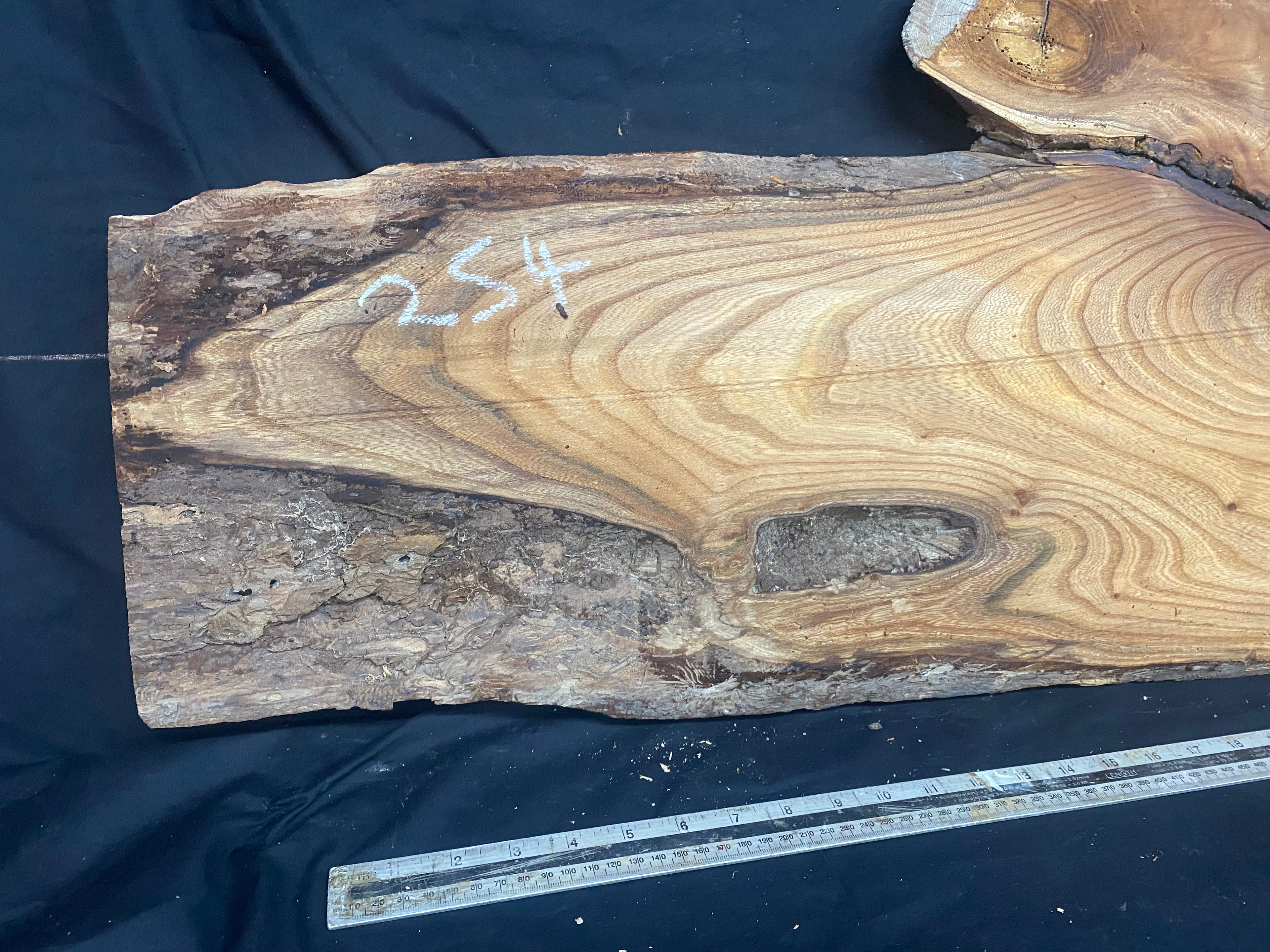 Elm coffee table top board, plank, 1333 L x 482 W x 19 D mm    (254)