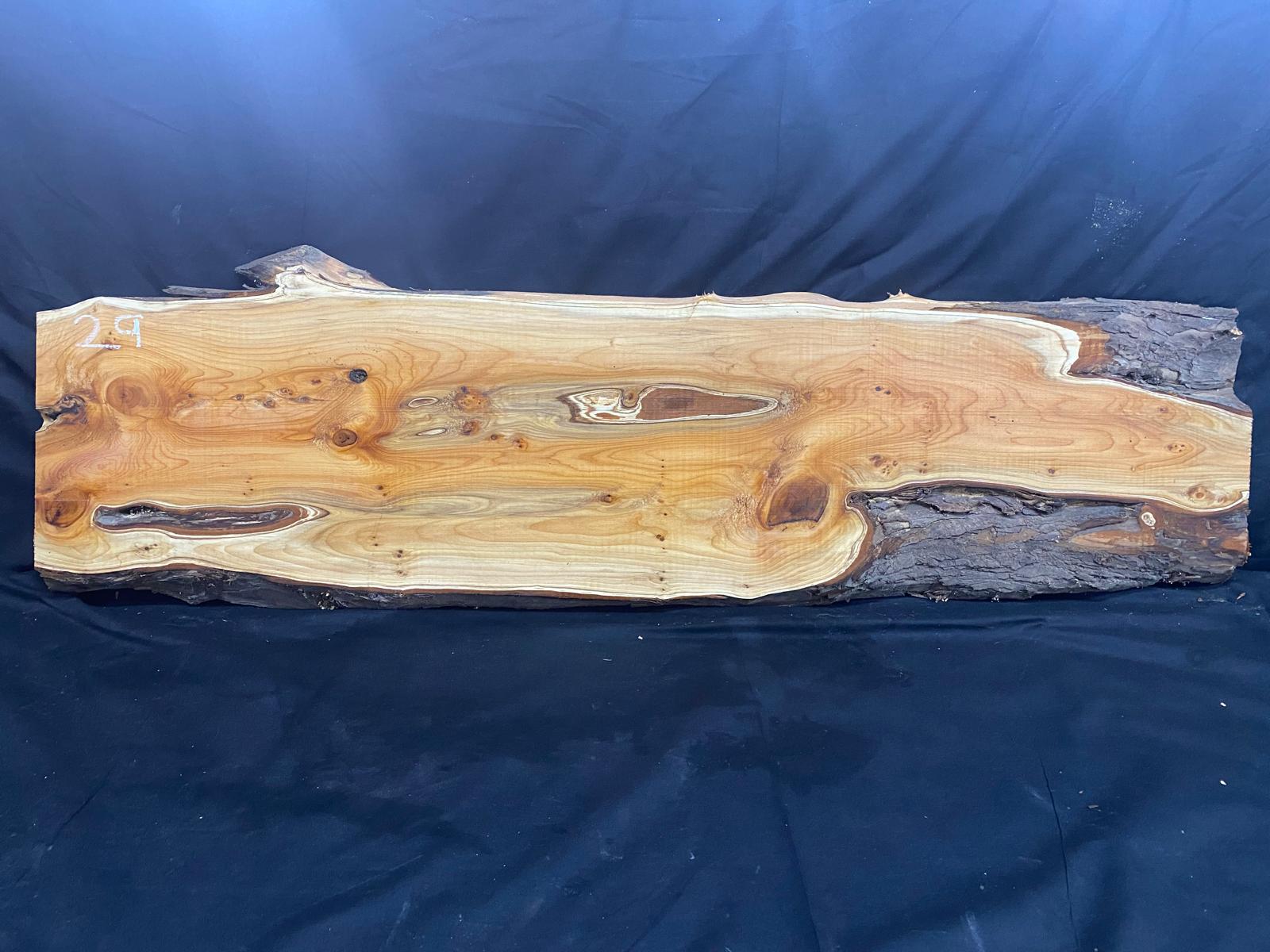 English Yew Shelf, plank, board, timber 1212 L x 363 W x 35 D (mm) (29)