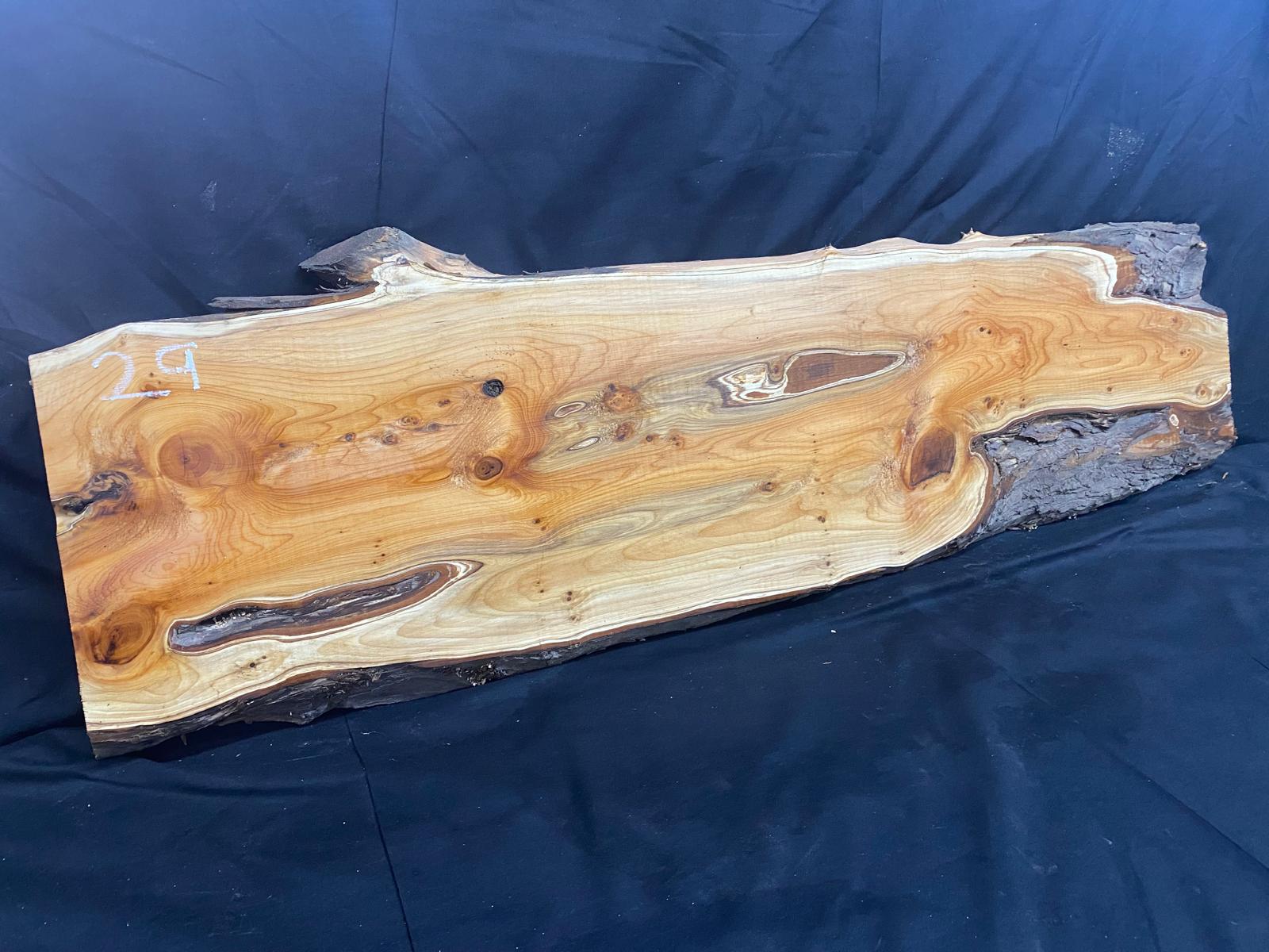 English Yew Shelf, plank, board, timber 1212 L x 363 W x 35 D (mm) (29)