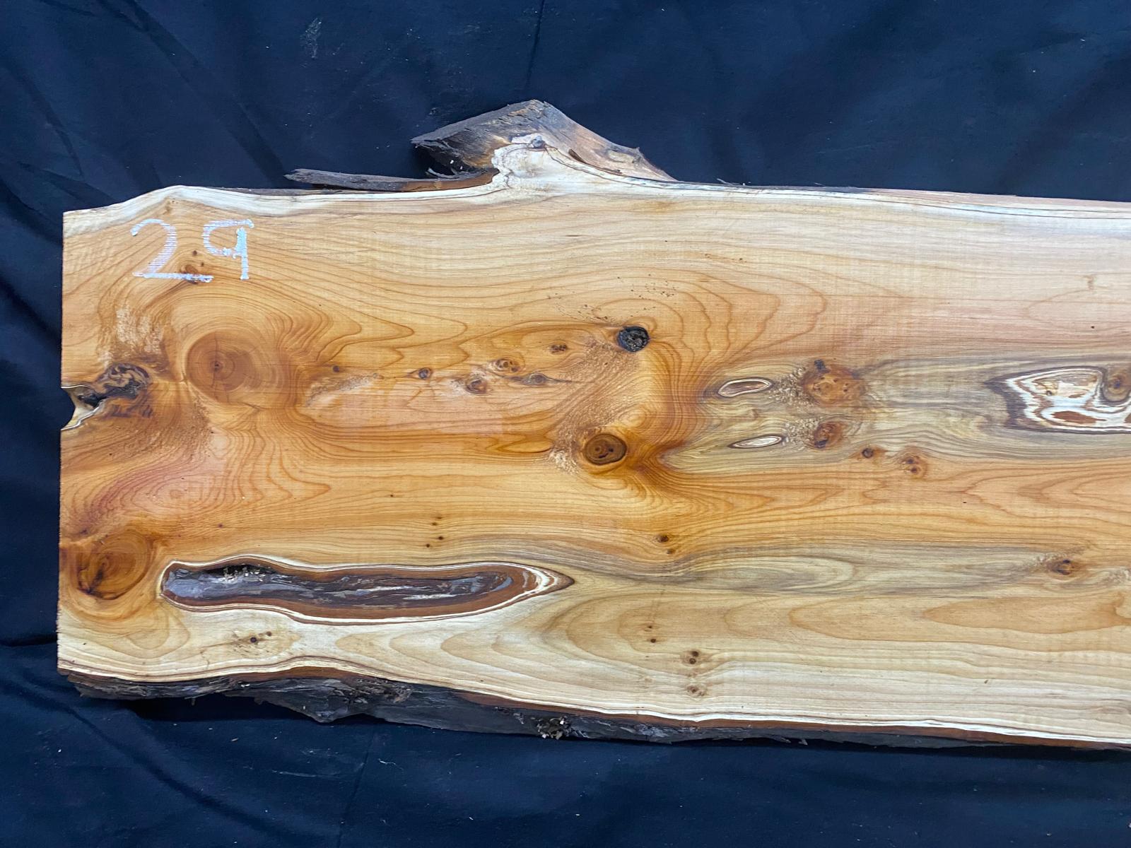 English Yew Shelf, plank, board, timber 1212 L x 363 W x 35 D (mm) (29)