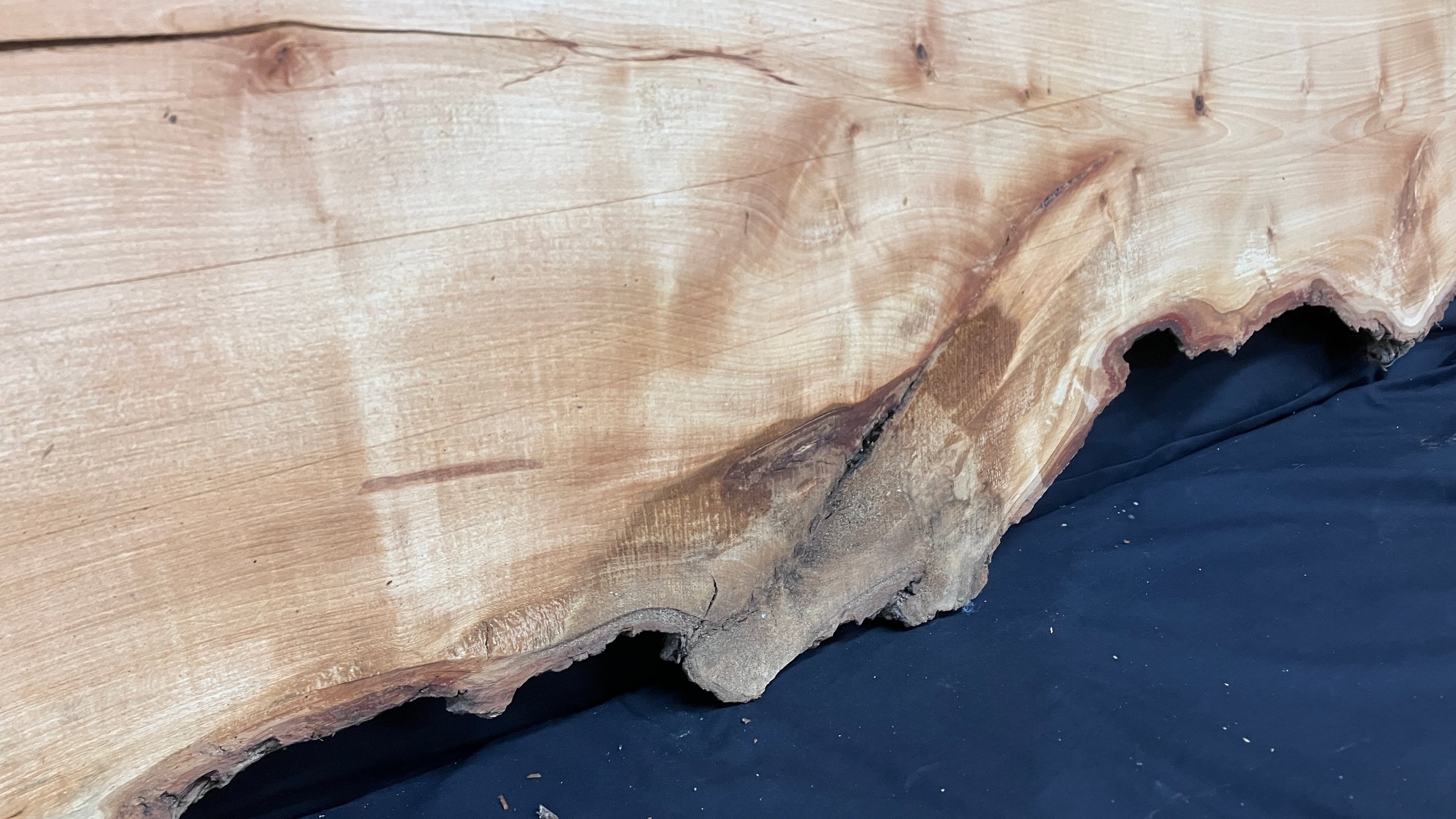 Wood slab, shelving, plank 1686 L x 520 W x 30 D (mm)    (166)