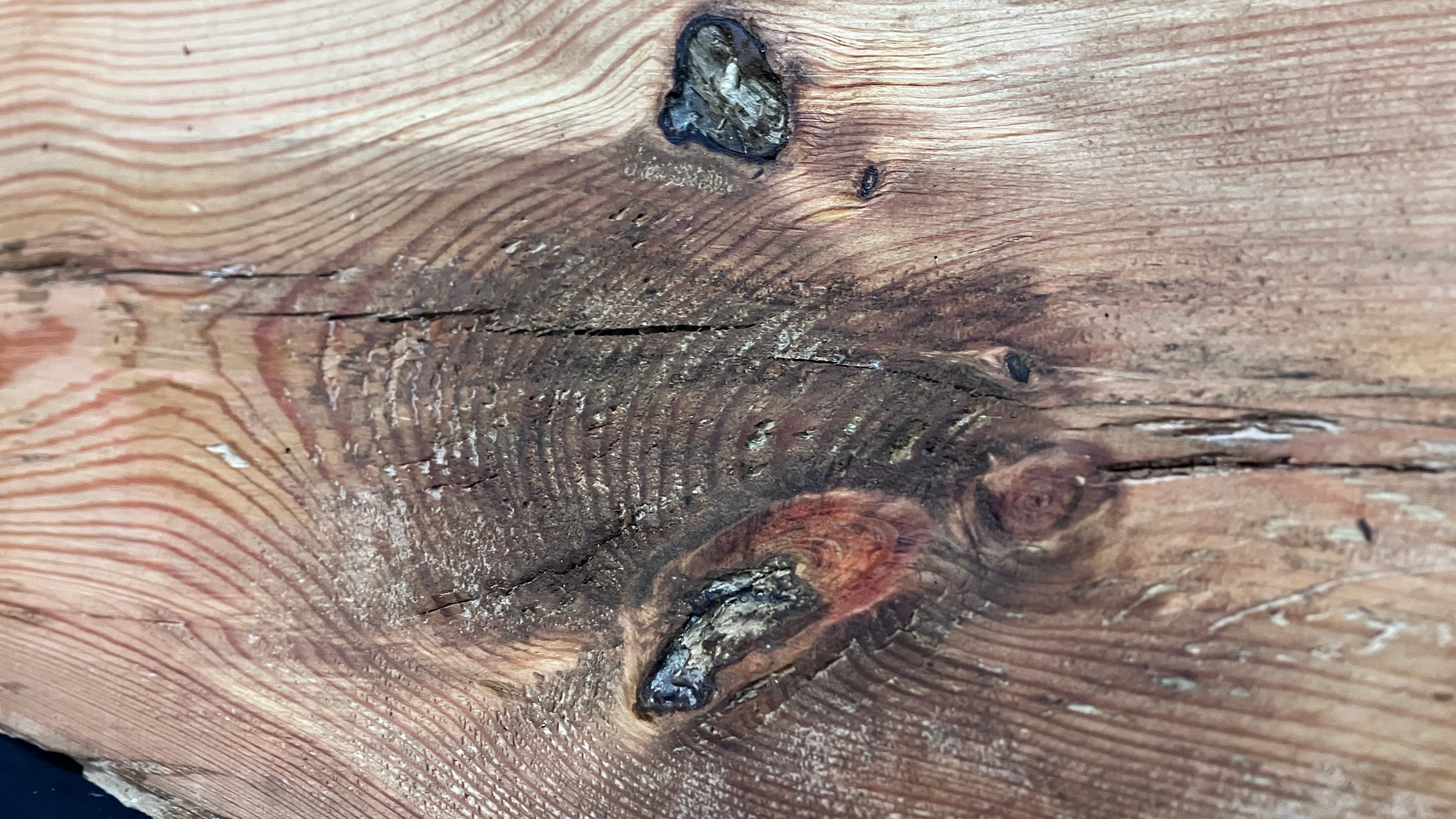 AIR DRIED LARCH, 1200 L x 376 W x 19 D (mm)   (182)