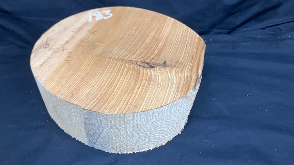 A Grade dry 11" x 4" olive ash, large wood turning blank  (183)