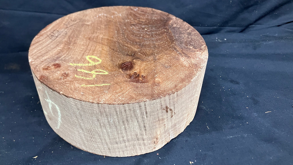 B Grade dry 8" x 3 1/4" elm, large wood turning blank  (186)
