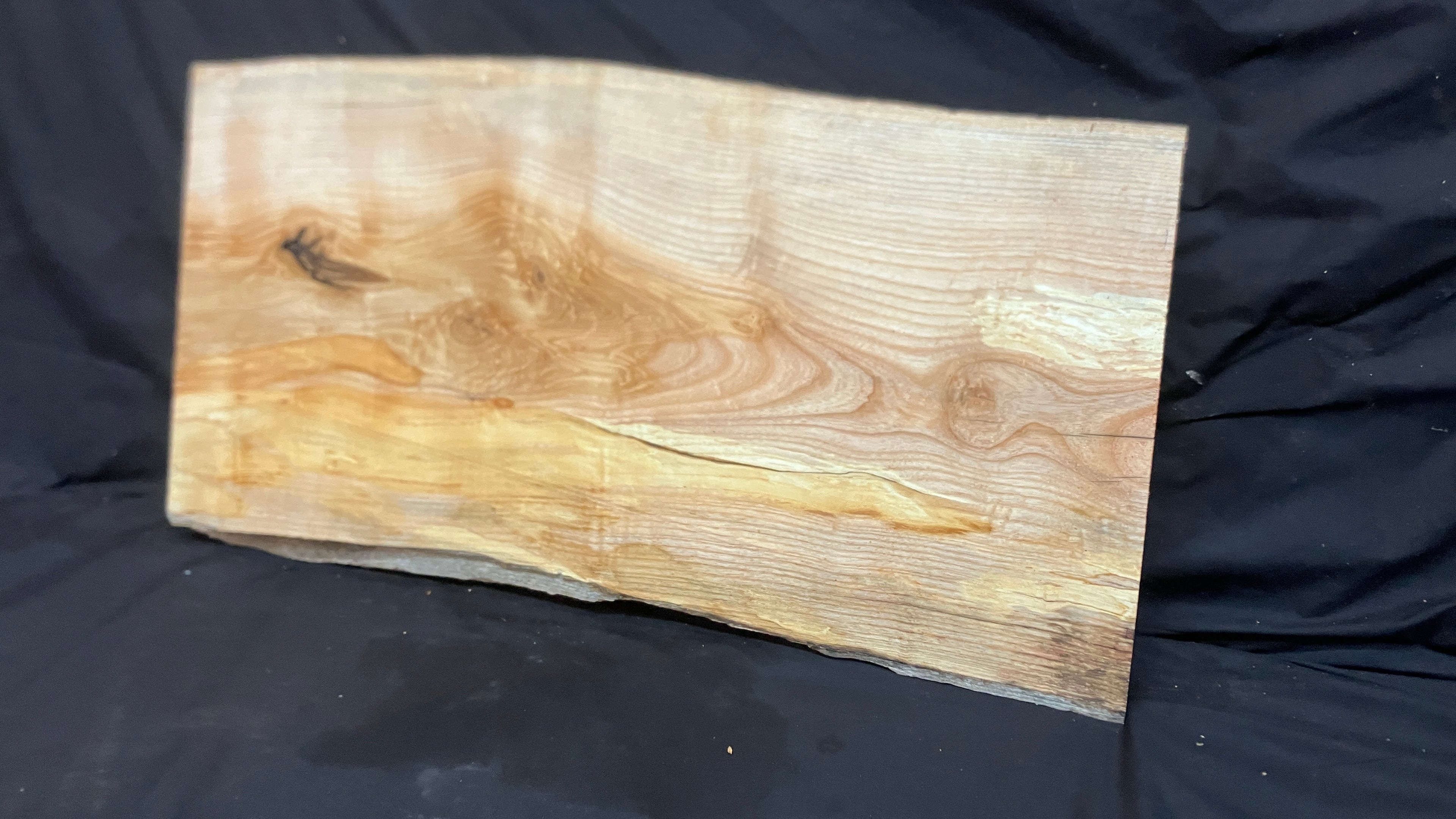 Spalted ash hardwood boards, shelving, platter 665 L x 358 W x 32 D (mm)     (189)