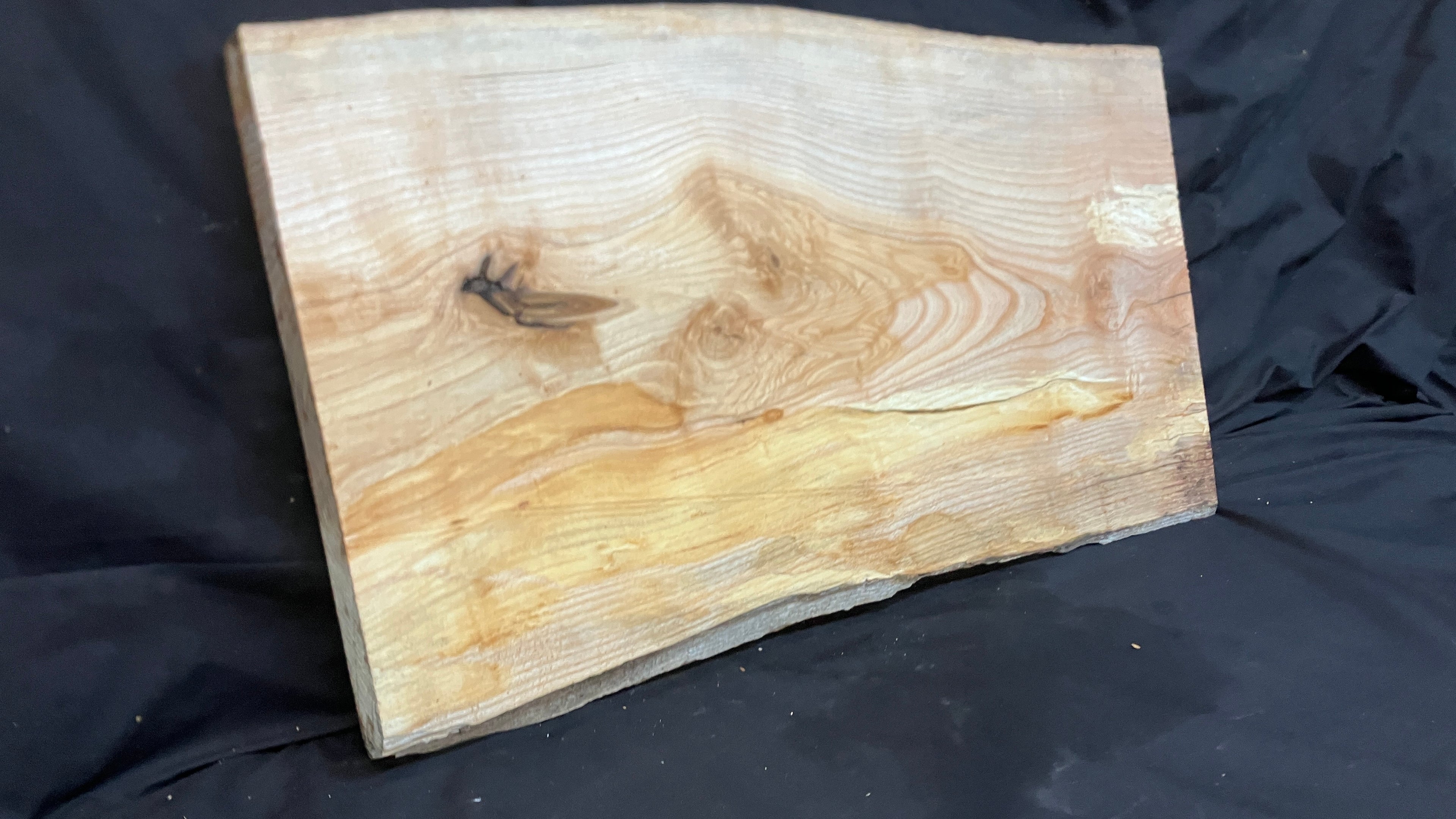 Spalted ash hardwood boards, shelving, platter 665 L x 358 W x 32 D (mm)     (189)