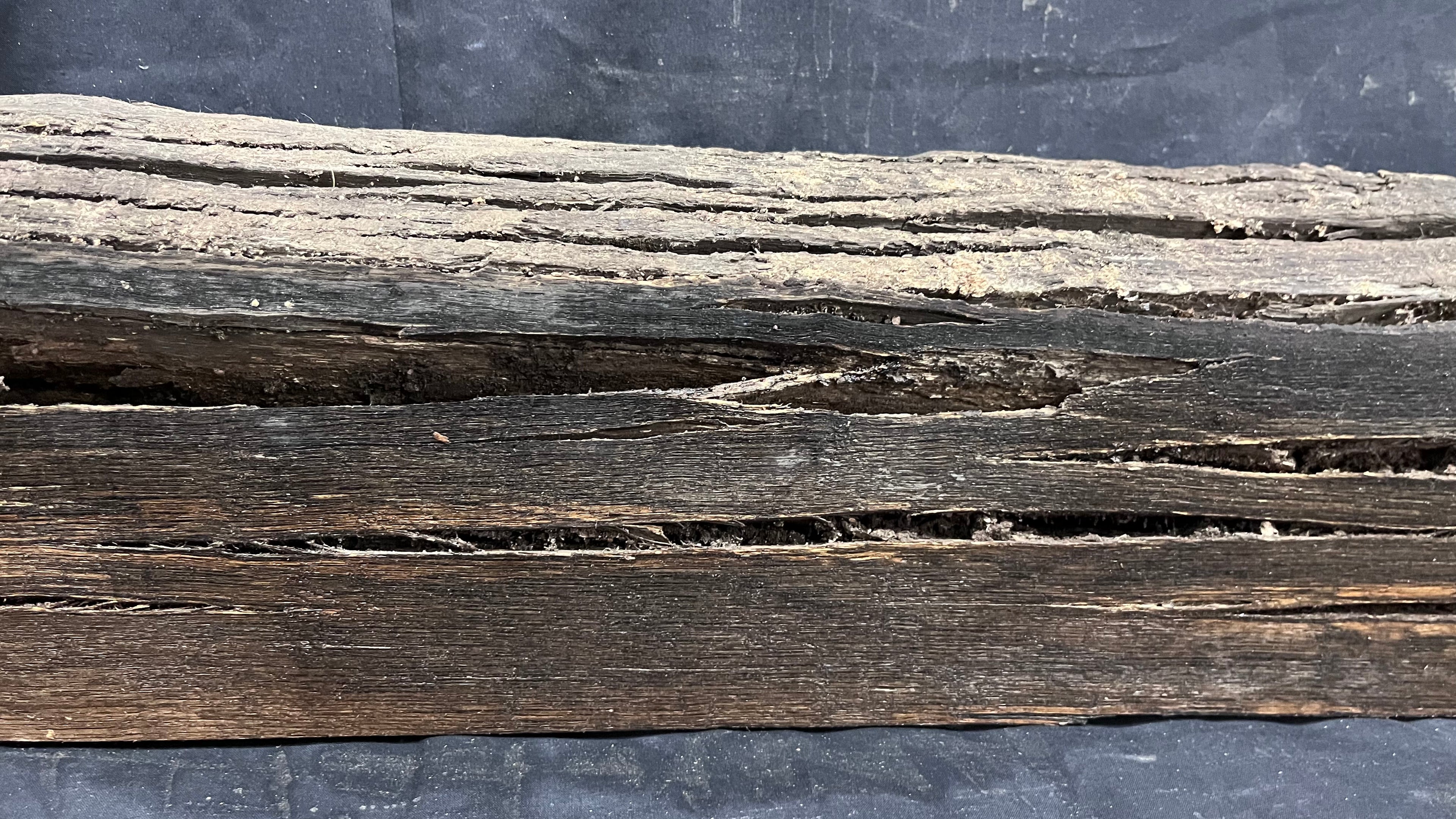 Bog oak mantle, rare wood 2000+ years old, 1256 L x 165 W x 108 D mm    (406)