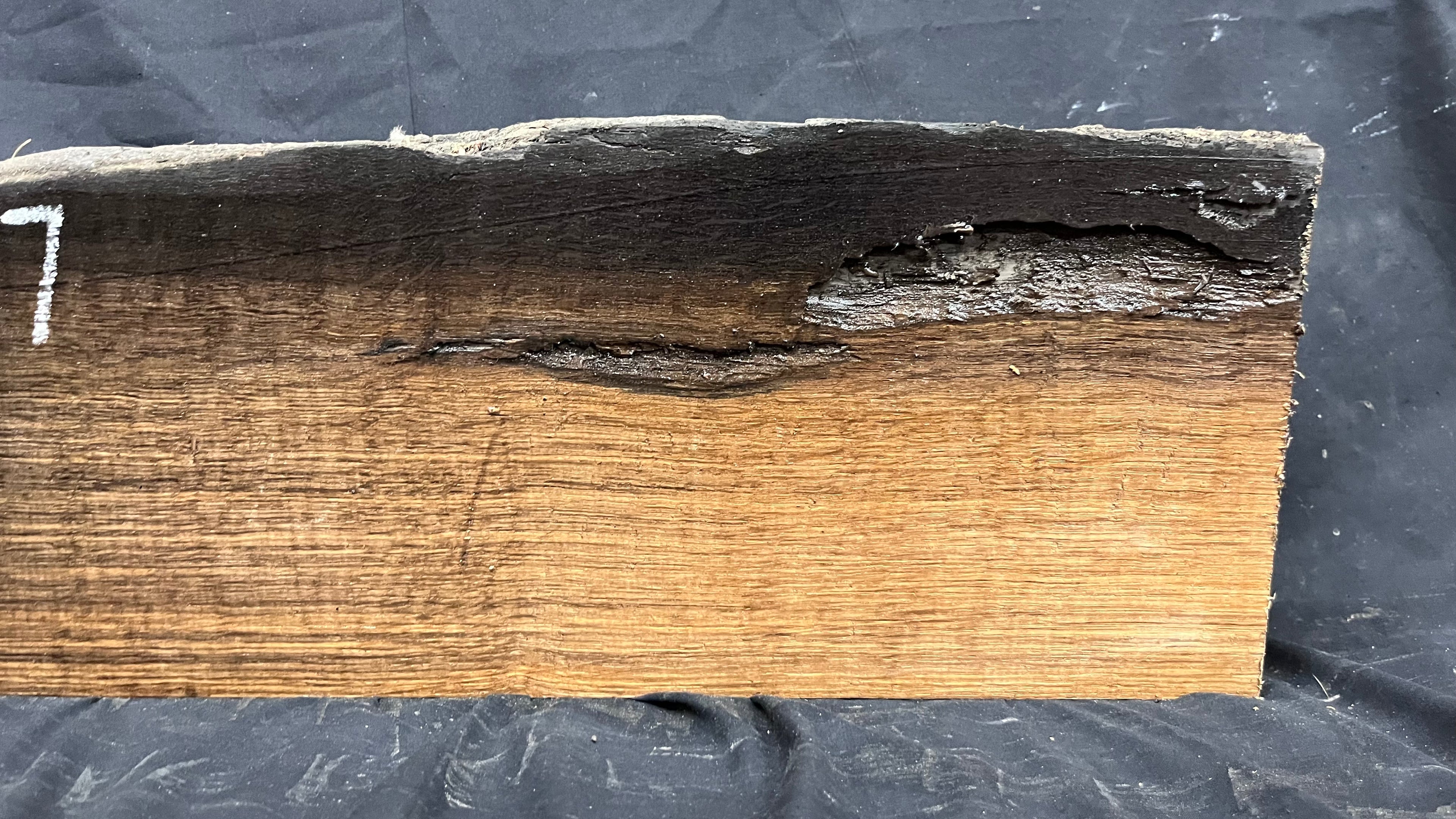 Bog oak mantle, rare wood 2000+ years old, 788 L x 217 W x 93 D mm    (407)