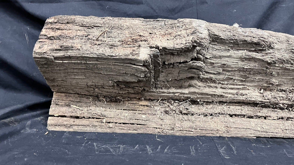 Bog oak mantle, rare wood 2000+ years old, 788 L x 217 W x 93 D mm    (407)