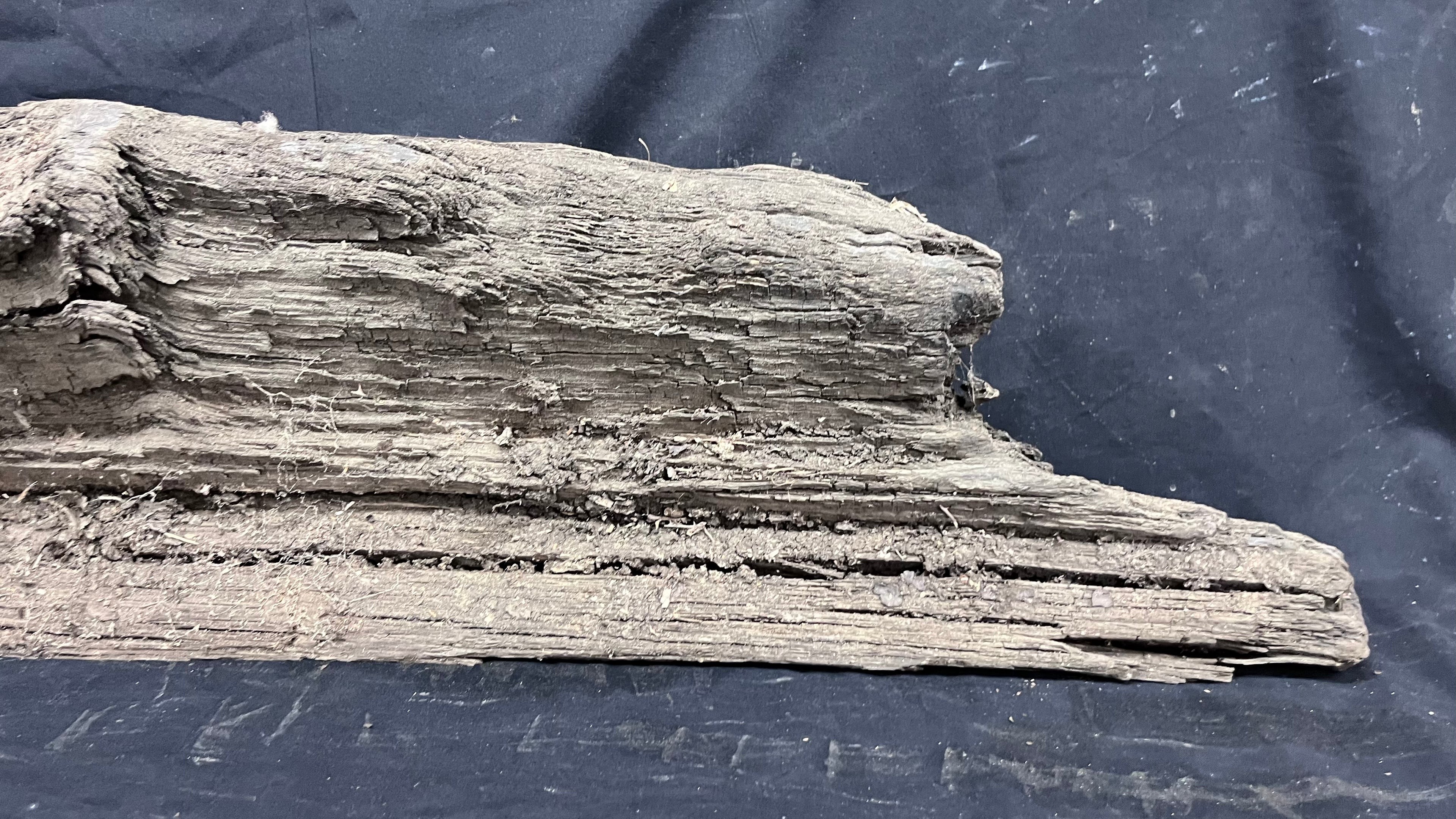 Bog oak mantle, rare wood 2000+ years old, 788 L x 217 W x 93 D mm    (407)