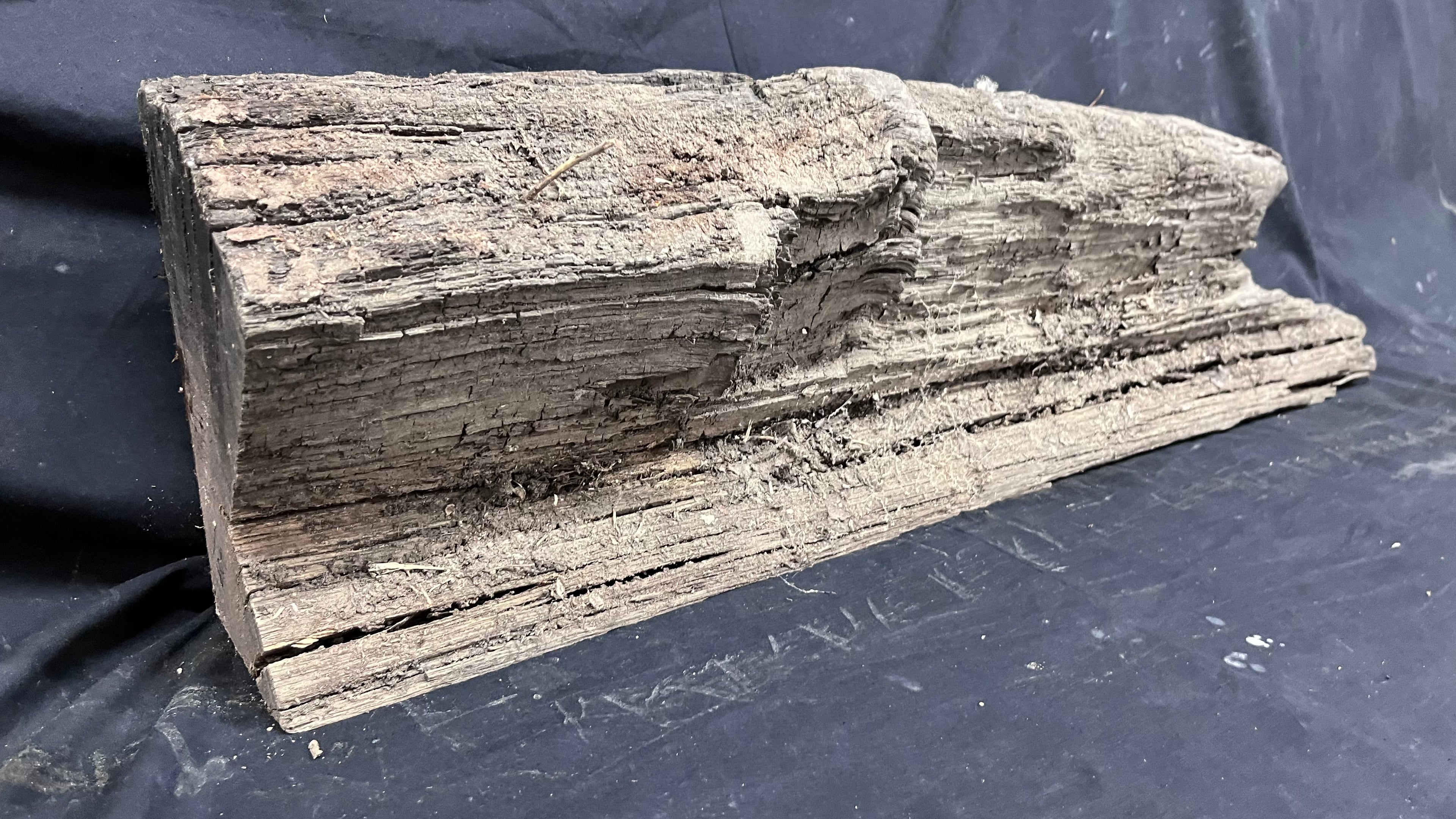 Bog oak mantle, rare wood 2000+ years old, 788 L x 217 W x 93 D mm    (407)