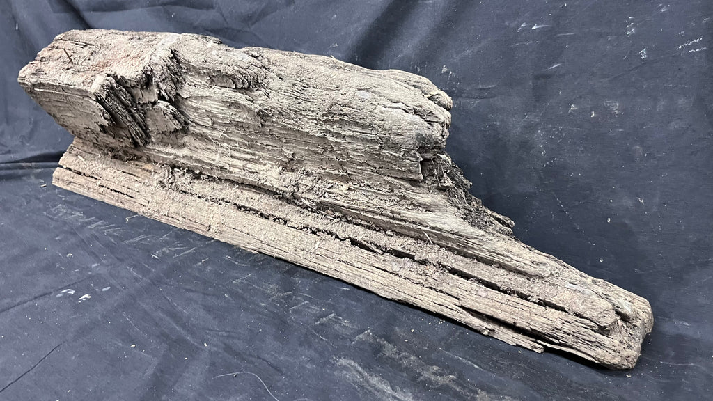 Bog oak mantle, rare wood 2000+ years old, 788 L x 217 W x 93 D mm    (407)