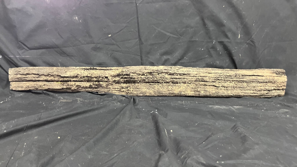 Bog oak mantle, rare wood 2000+ years old, 1365 L x 118 W x 95 D mm    (408)