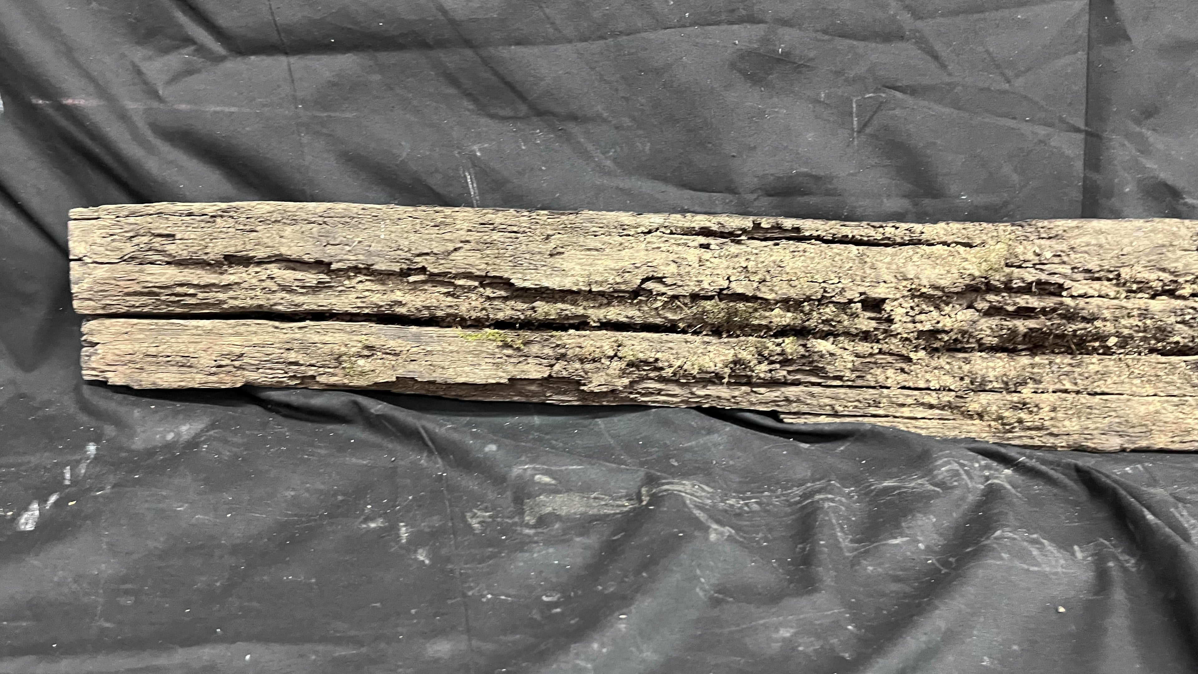 Bog oak mantle, rare wood 2000+ years old, 1365 L x 118 W x 95 D mm    (408)