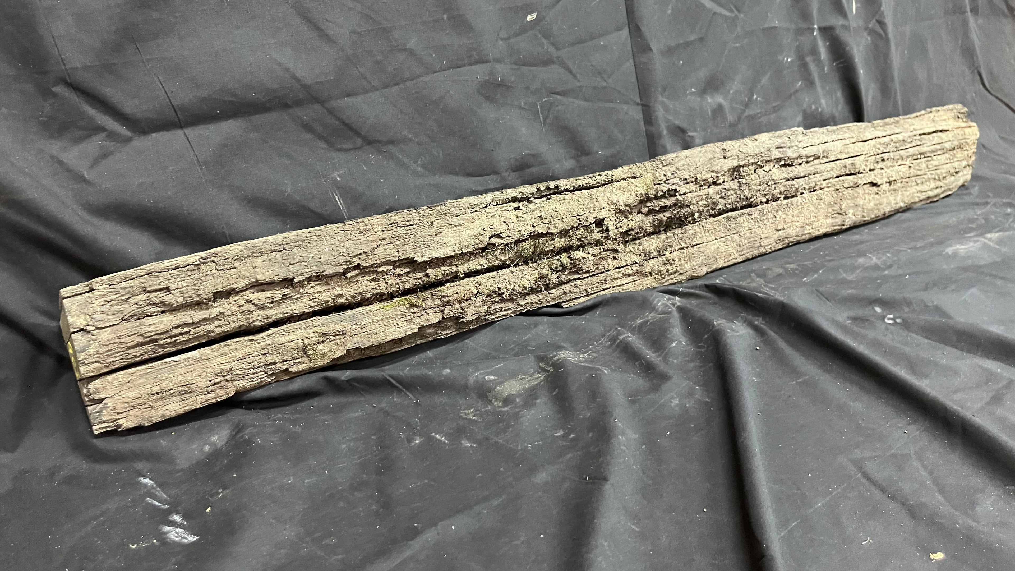 Bog oak mantle, rare wood 2000+ years old, 1365 L x 118 W x 95 D mm    (408)