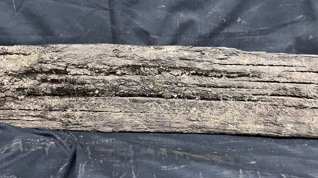 Bog oak mantle, rare wood 2000+ years old, 1365 L x 118 W x 95 D mm    (408)