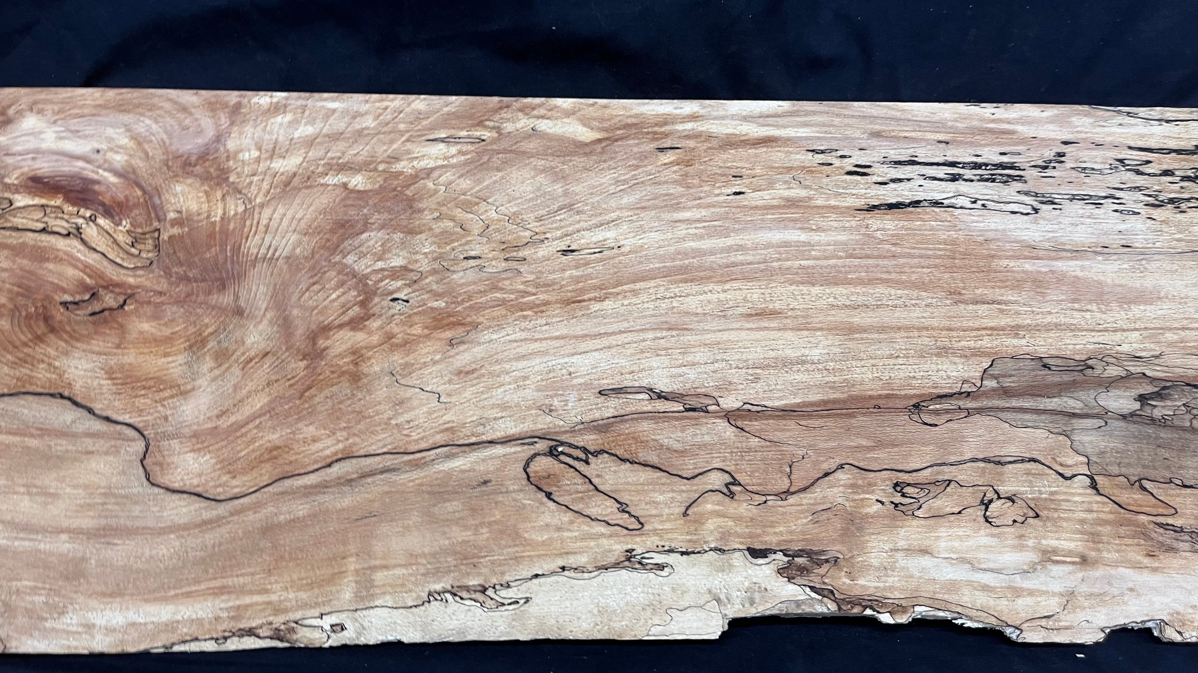 Spalted beech wood turning, tone wood, joinery 1600 L x 292 W x 22 D mm    (588)
