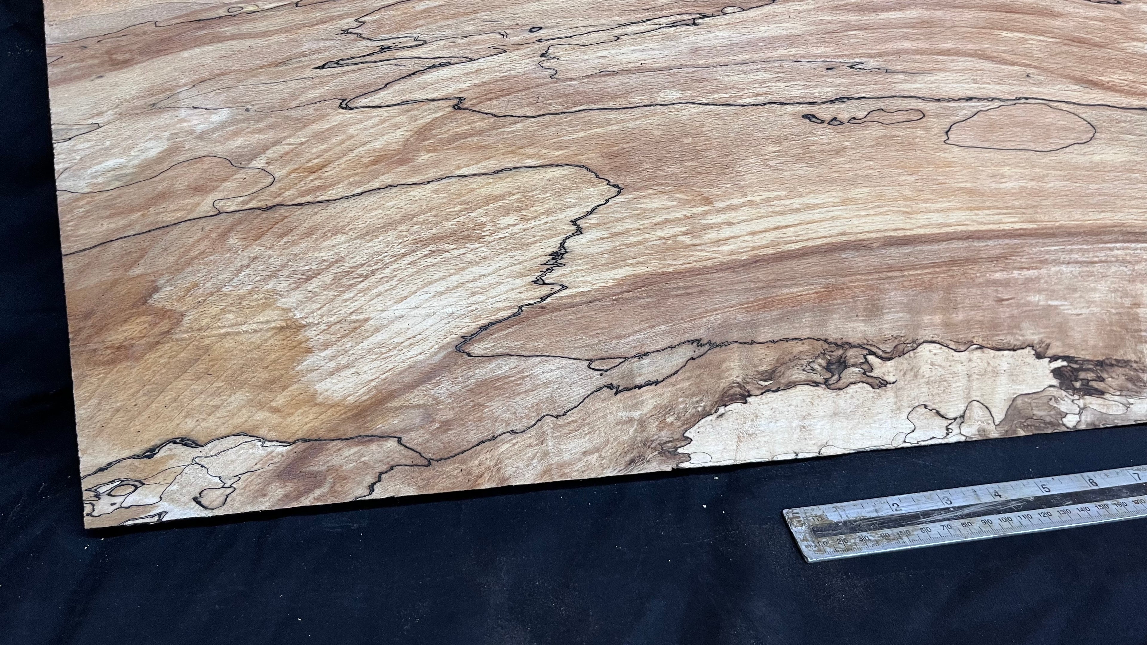 Spalted beech wood turning, tone wood, joinery 1600 L x 292 W x 22 D mm    (588)