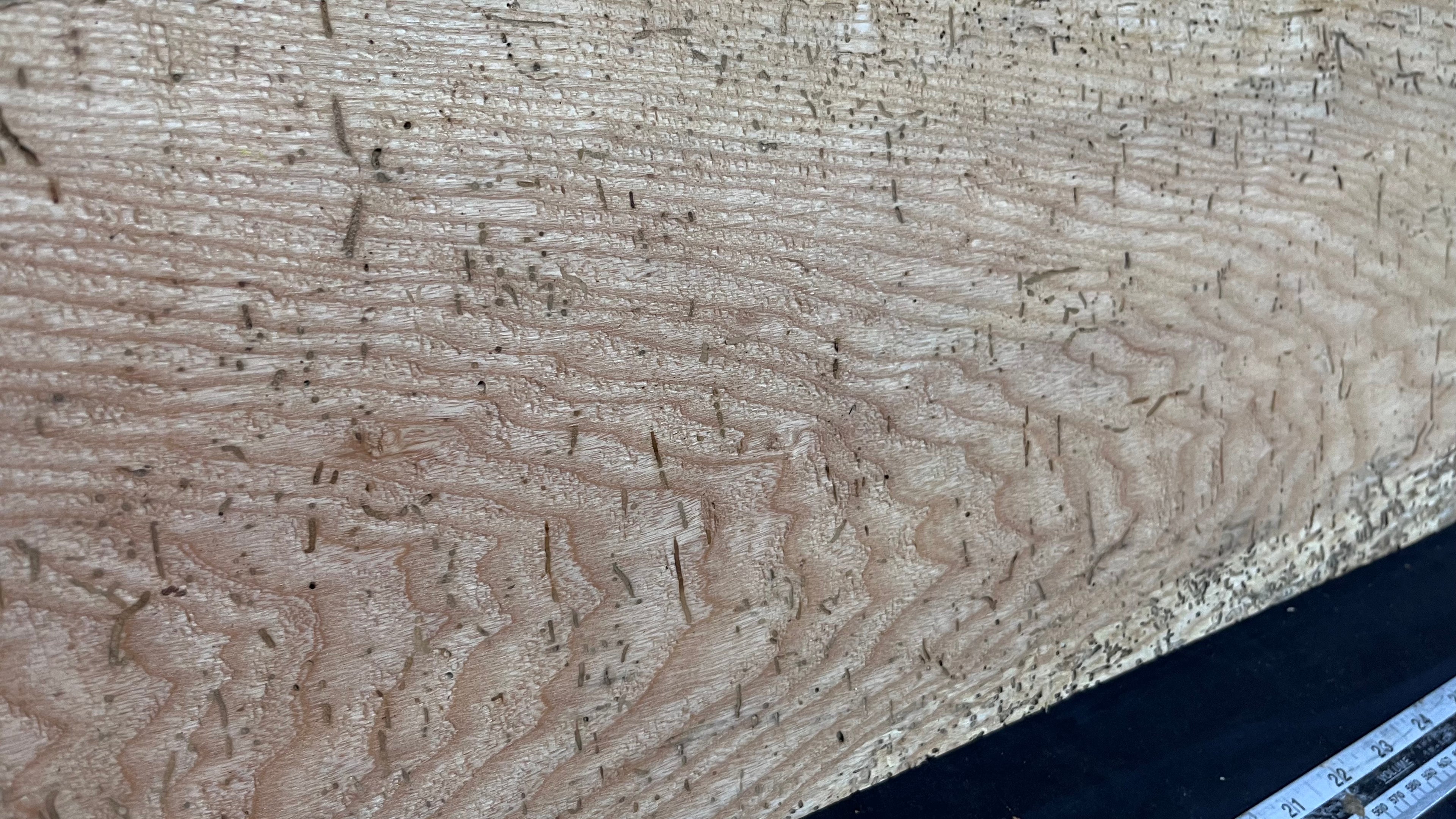 Reclaimed old rustic ash timber, plank 1160 L x 235 W x 27 D mm     (591)
