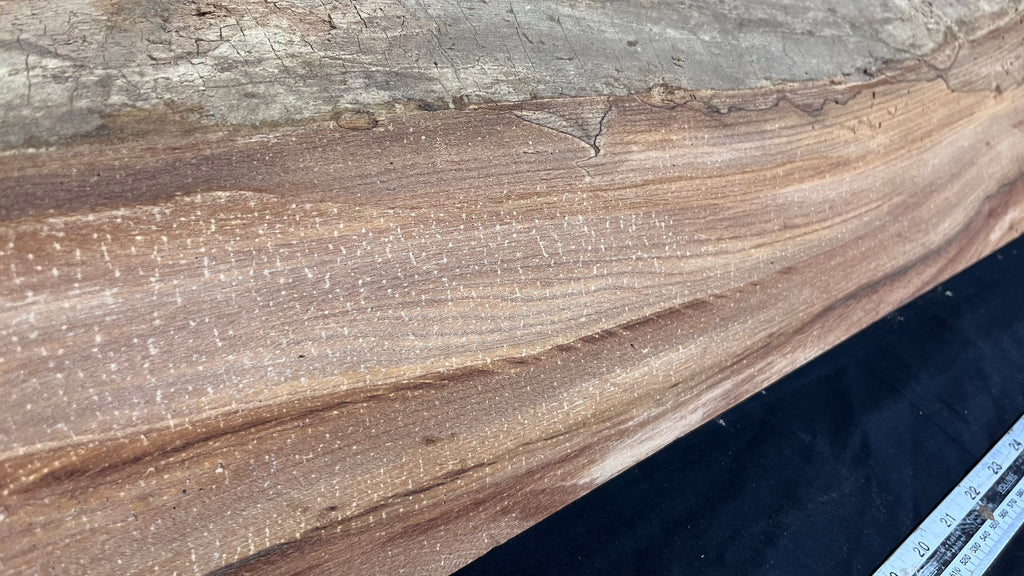 Elm reclaimed, plank, 1660 L x 231 W x 40 D mm    (mt592)