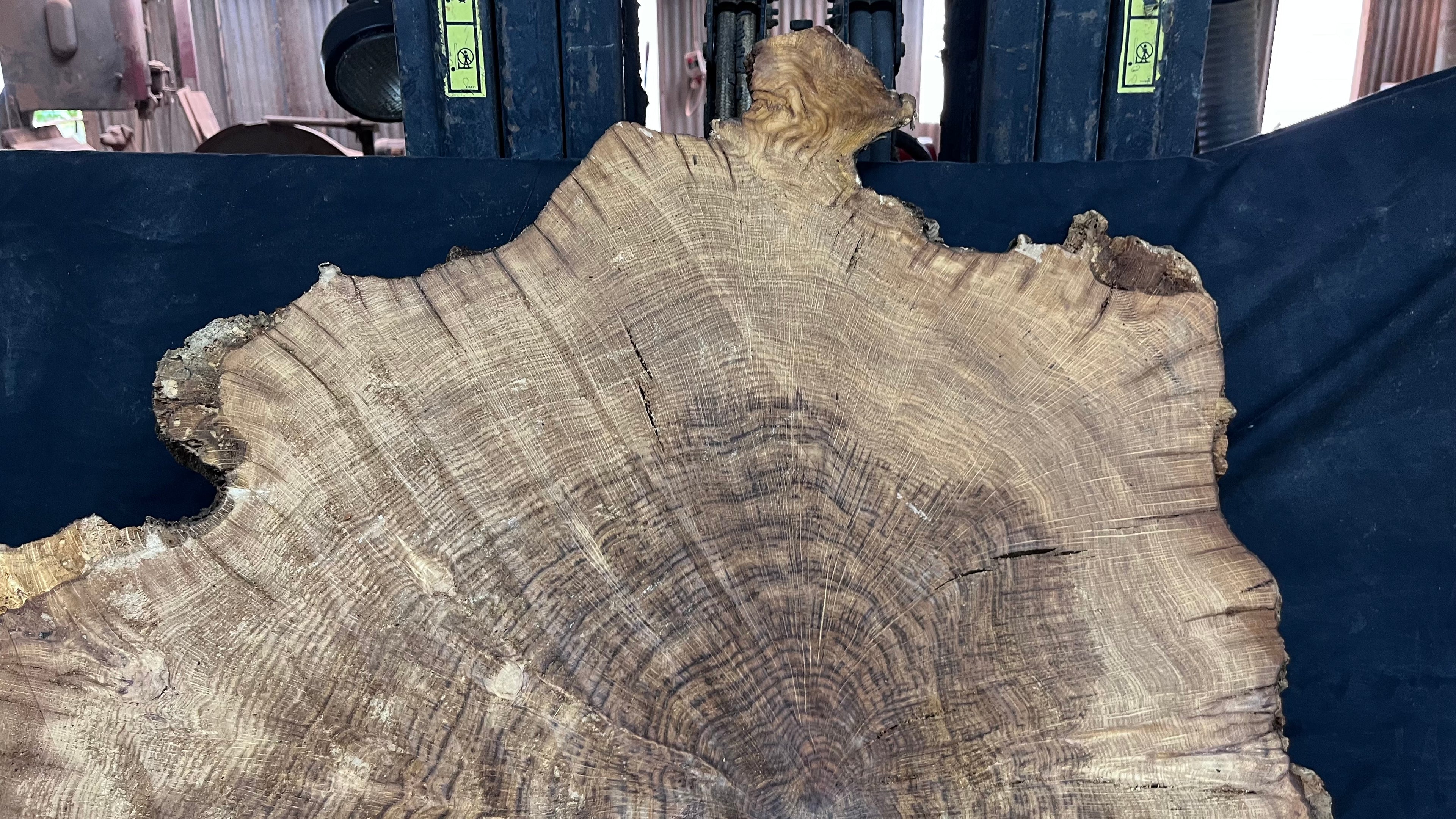 Brown Oak cookie, coffee table. craft wood, 885 L x 687 W x 44 D mm     (mf597)