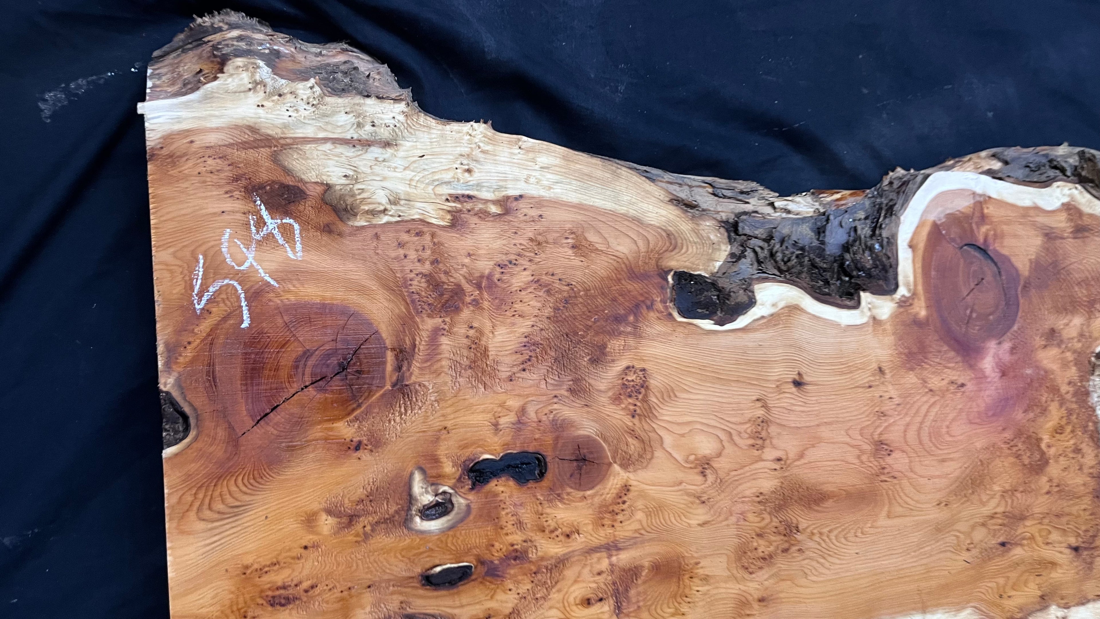 Pippy Yew coffee table top, hardwood, slab, board, 1236 L x 475 W x 42 D mm    (598)