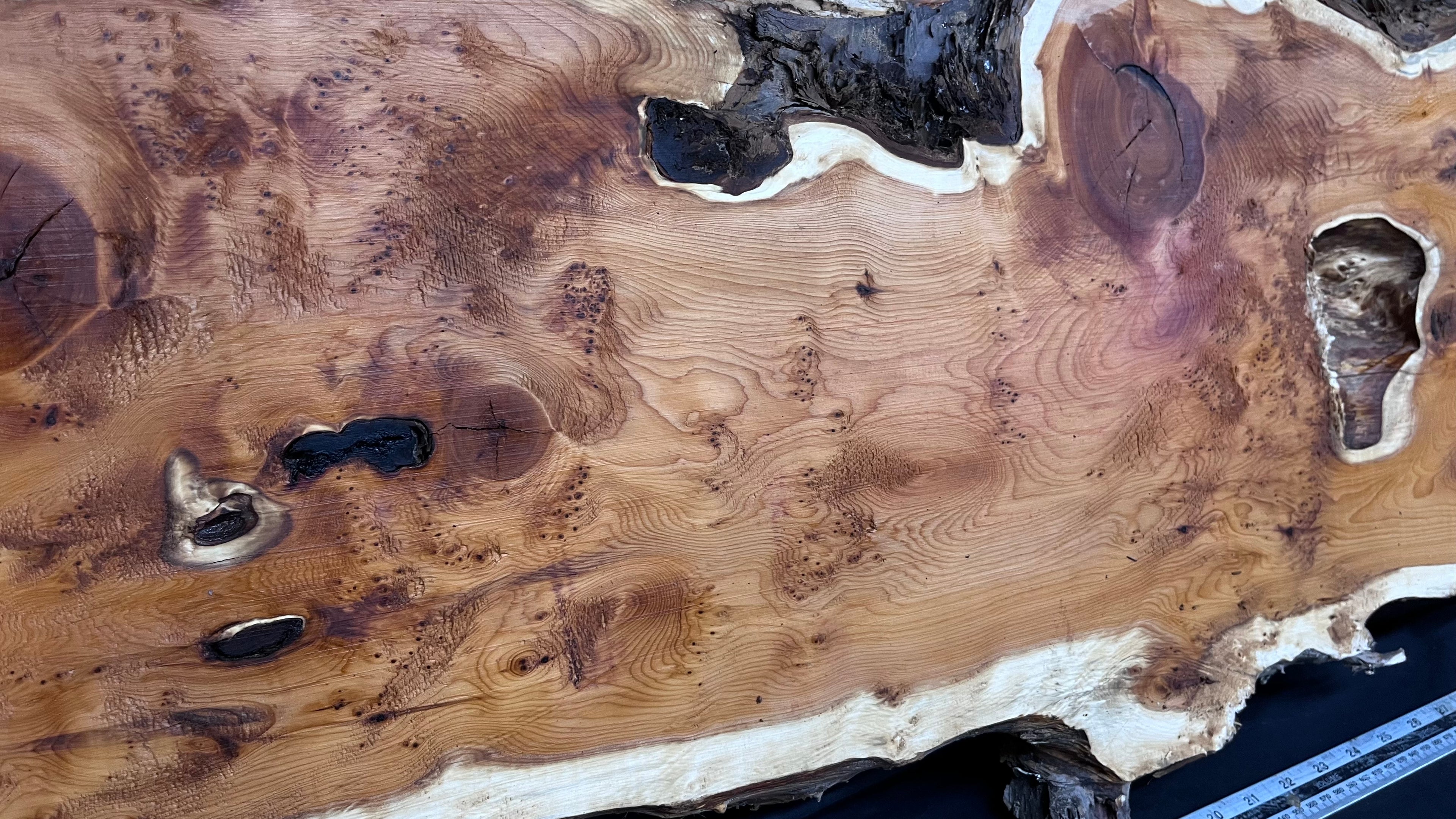 Pippy Yew coffee table top, hardwood, slab, board, 1236 L x 475 W x 42 D mm    (598)