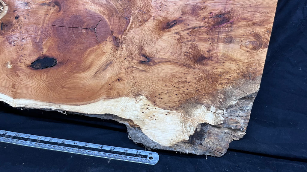 Pippy Yew coffee table top, hardwood, slab, board, 1236 L x 475 W x 42 D mm    (598)