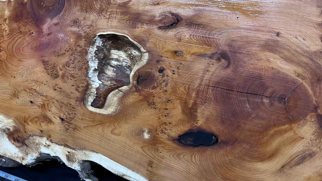 Pippy Yew coffee table top, hardwood, slab, board, 1236 L x 475 W x 42 D mm    (598)