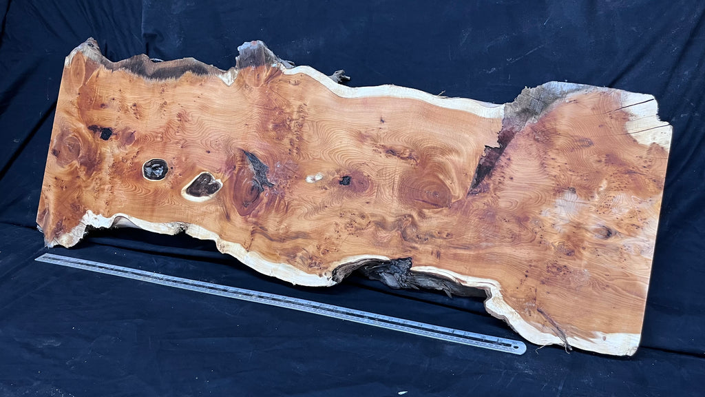 Pippy Yew coffee table top, hardwood, slab, board, 1236 L x 475 W x 42 D mm    (598)