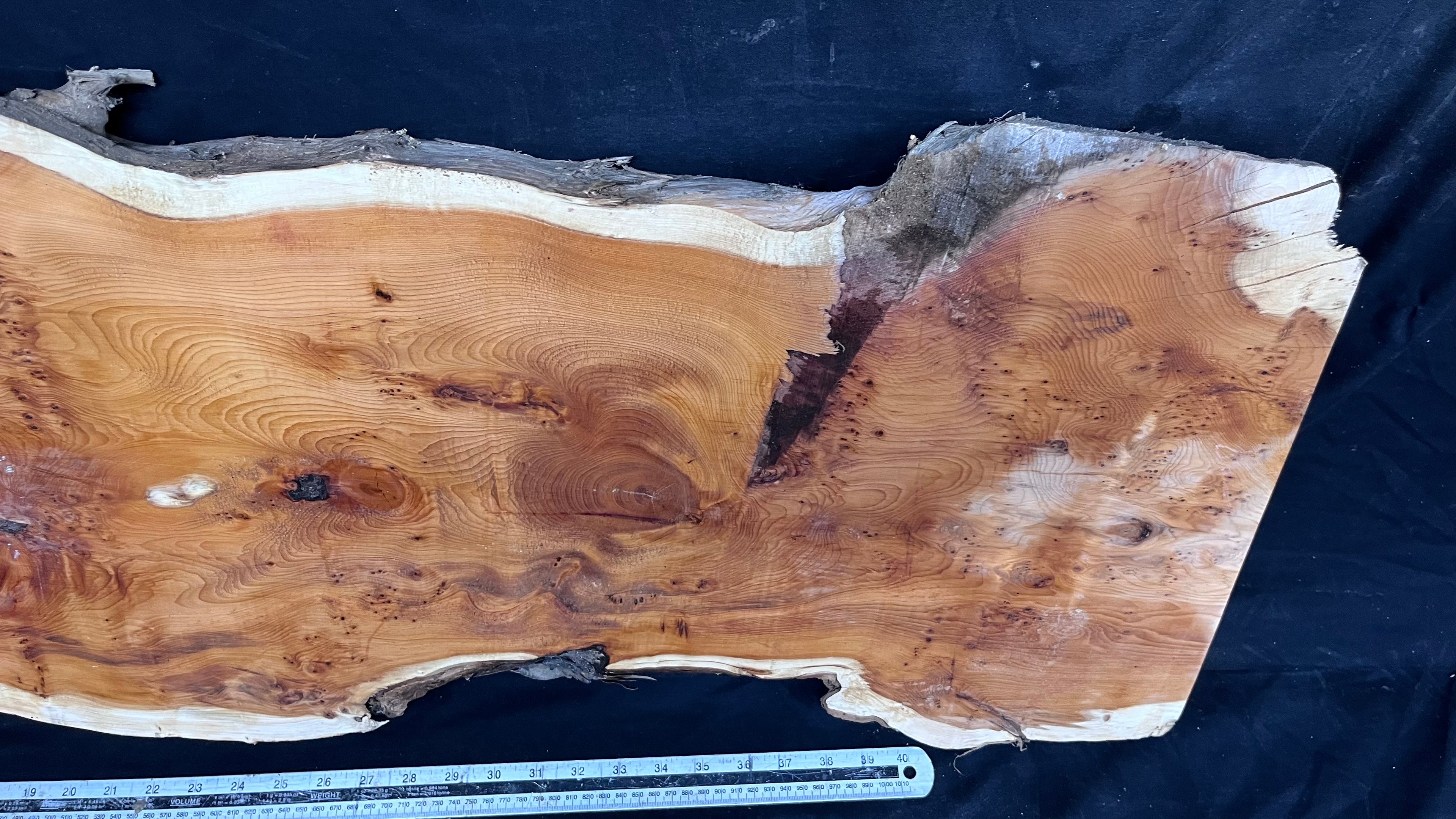 Pippy Yew coffee table top, hardwood, slab, board, 1236 L x 475 W x 42 D mm    (598)