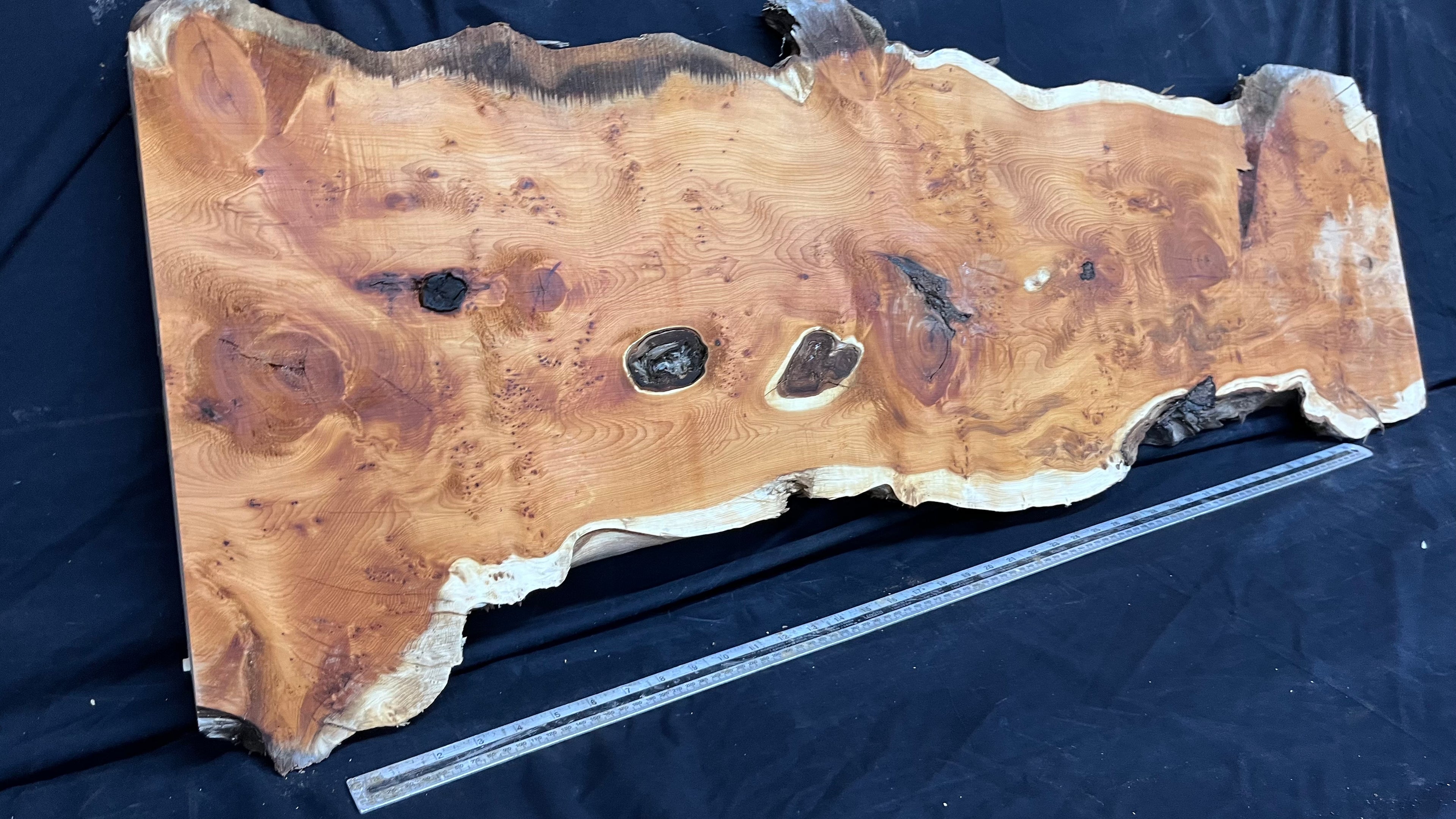 Pippy Yew coffee table top, hardwood, slab, board, 1236 L x 475 W x 42 D mm    (598)