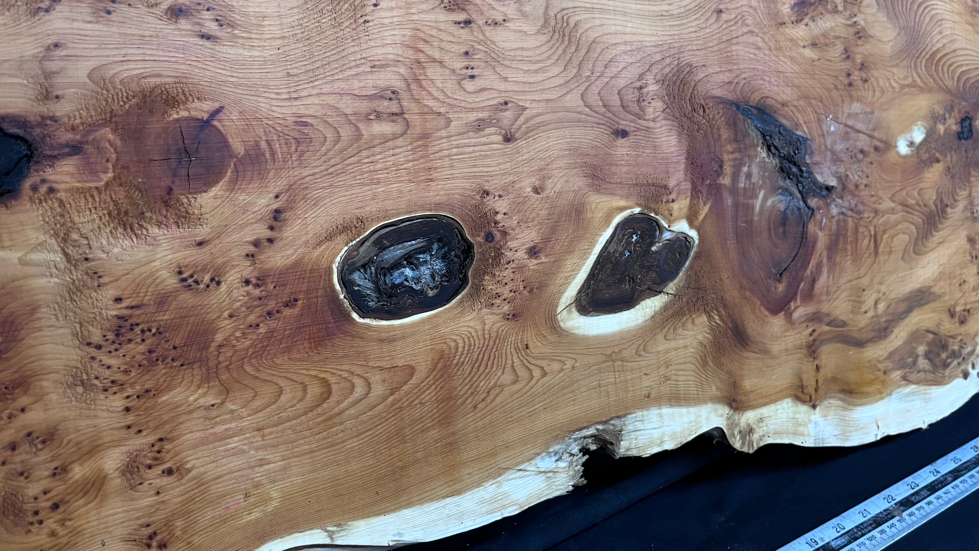 Pippy Yew coffee table top, hardwood, slab, board, 1236 L x 475 W x 42 D mm    (598)