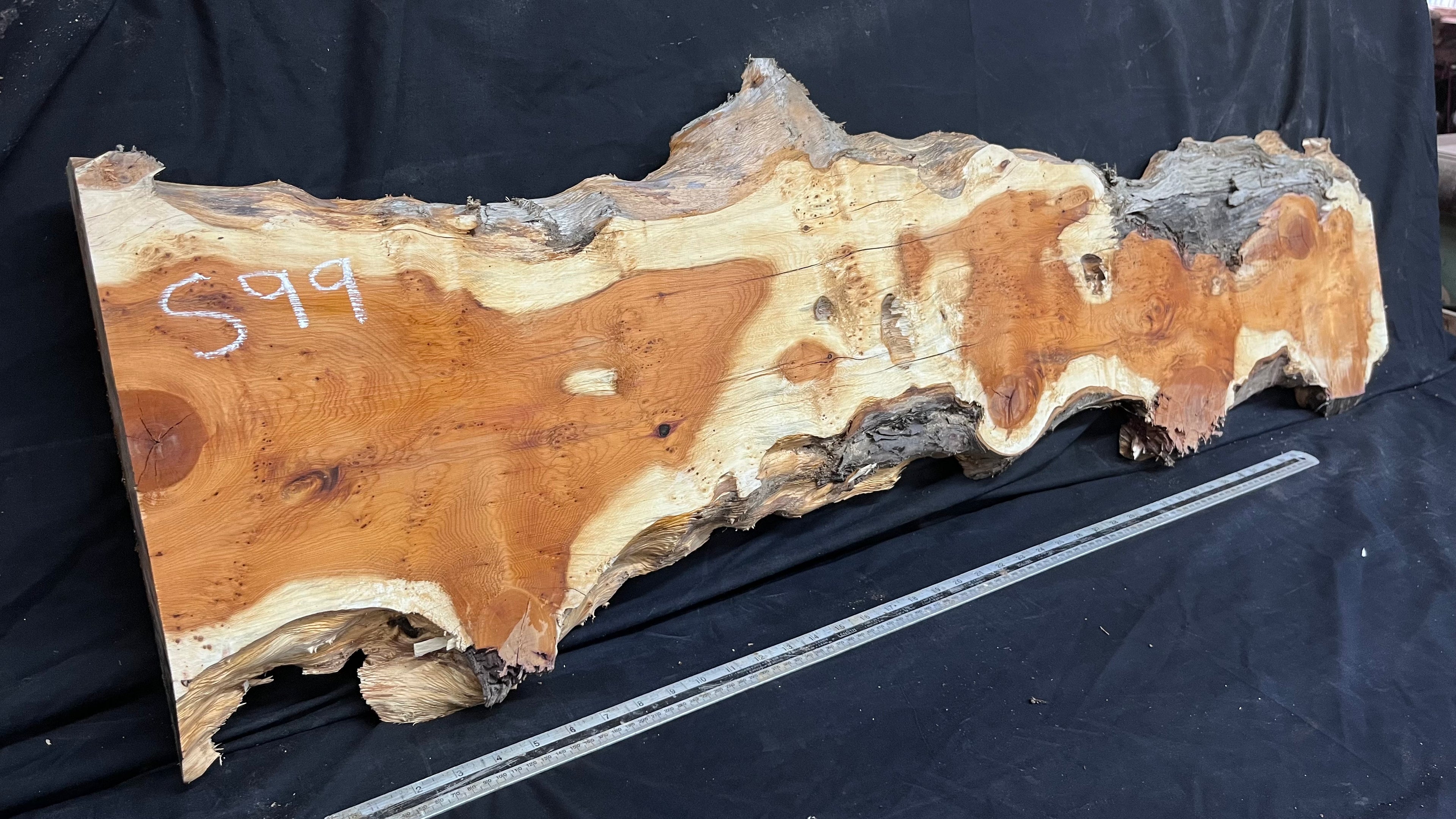 Pippy Yew coffee table top, hardwood, slab, board, 1342 L x 336 W x 42 D mm    (599)