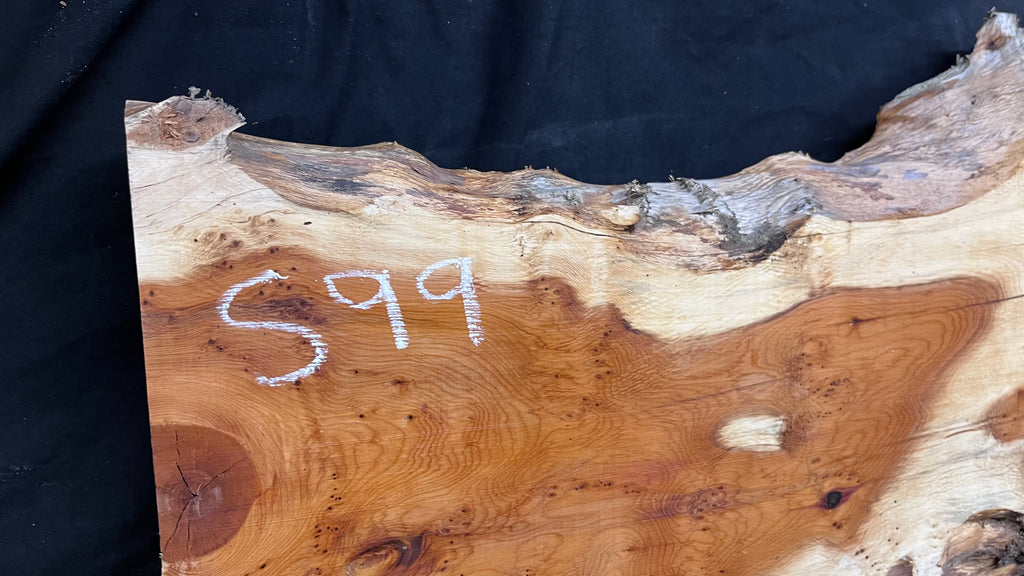 Pippy Yew coffee table top, hardwood, slab, board, 1342 L x 336 W x 42 D mm    (599)