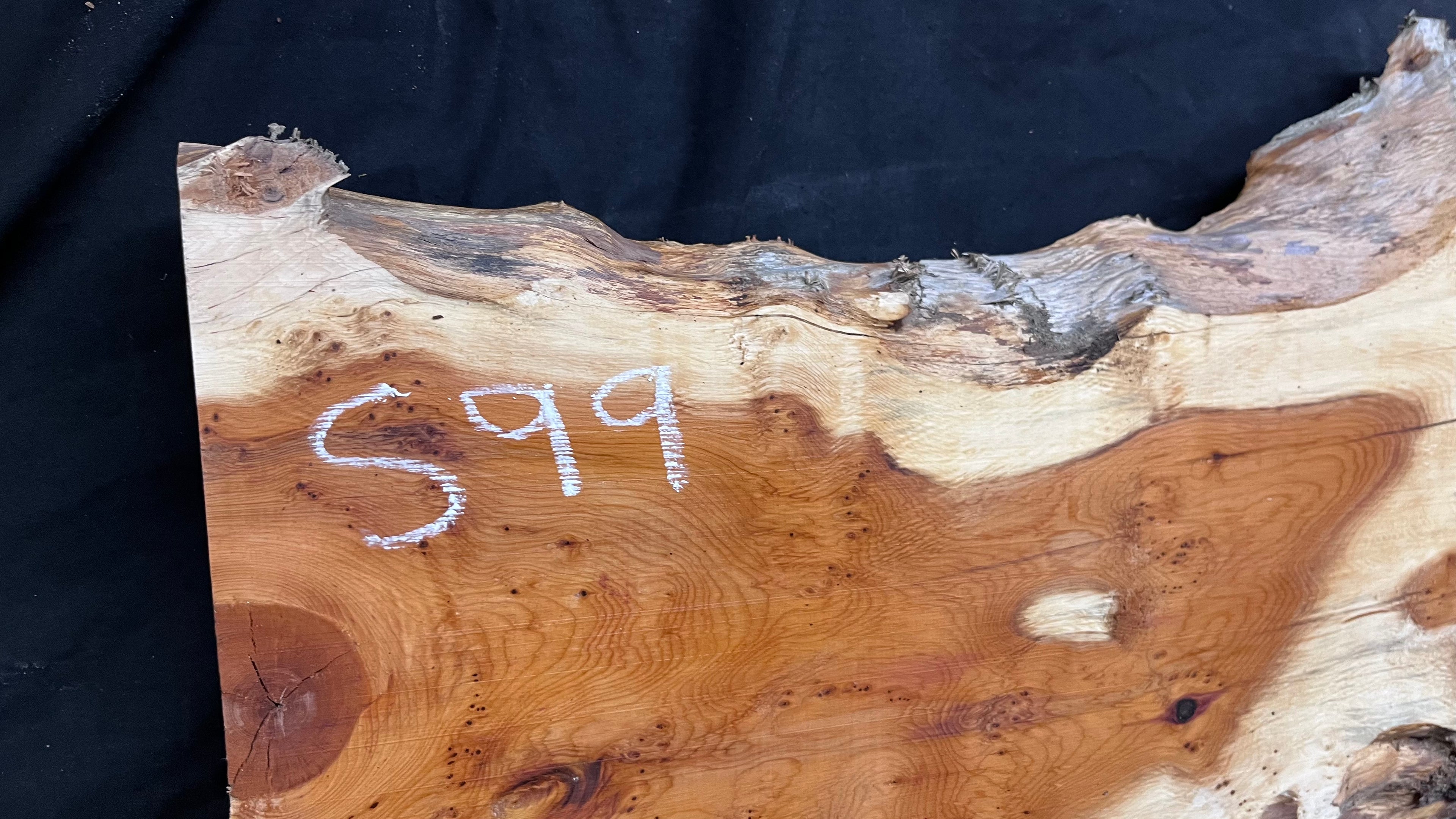 Pippy Yew coffee table top, hardwood, slab, board, 1342 L x 336 W x 42 D mm    (599)