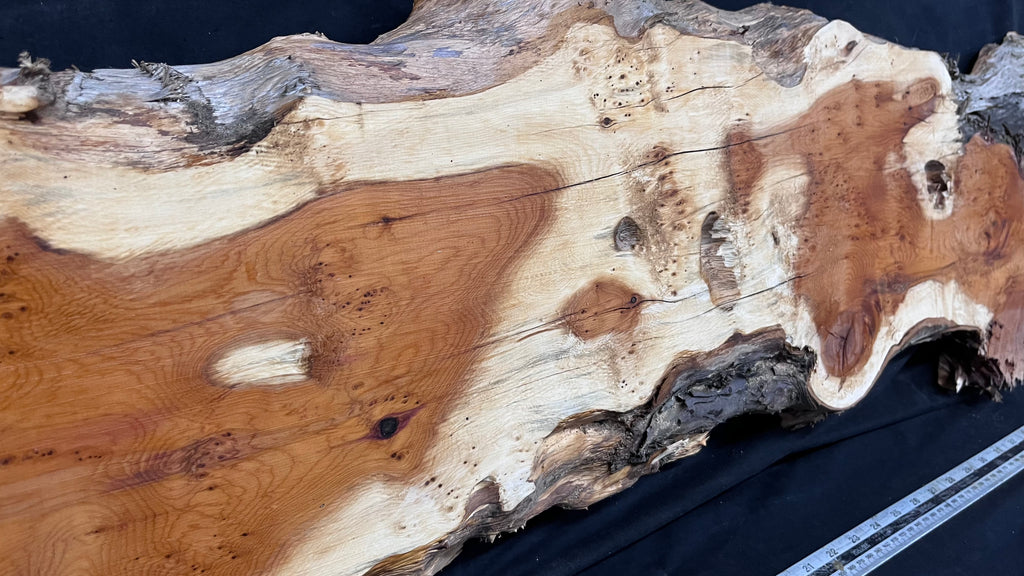 Pippy Yew coffee table top, hardwood, slab, board, 1342 L x 336 W x 42 D mm    (599)
