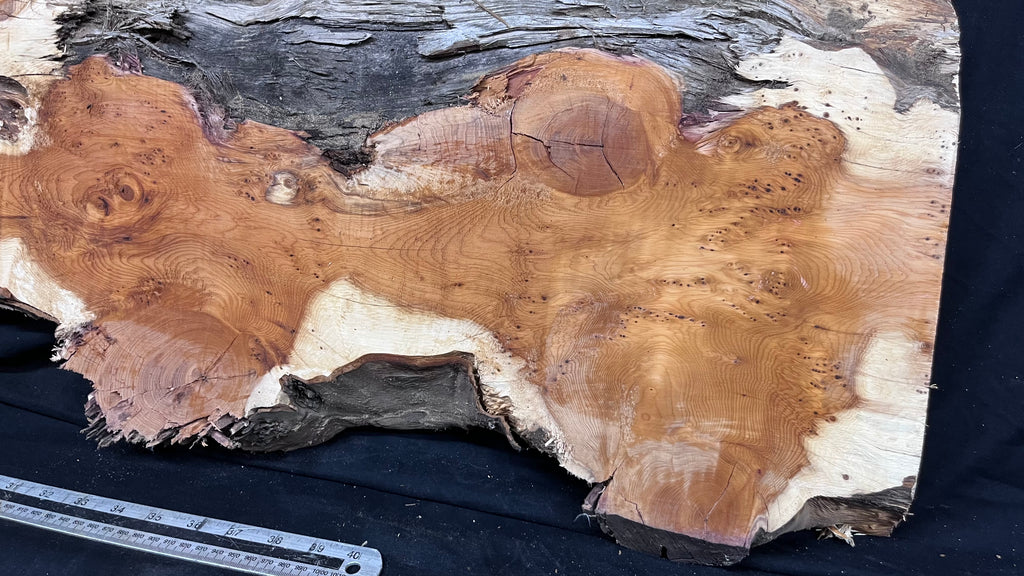Pippy Yew coffee table top, hardwood, slab, board, 1342 L x 336 W x 42 D mm    (599)