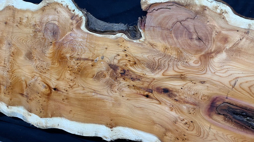 Pippy Yew coffee table top, hardwood, slab, board, 1342 L x 336 W x 42 D mm    (599)