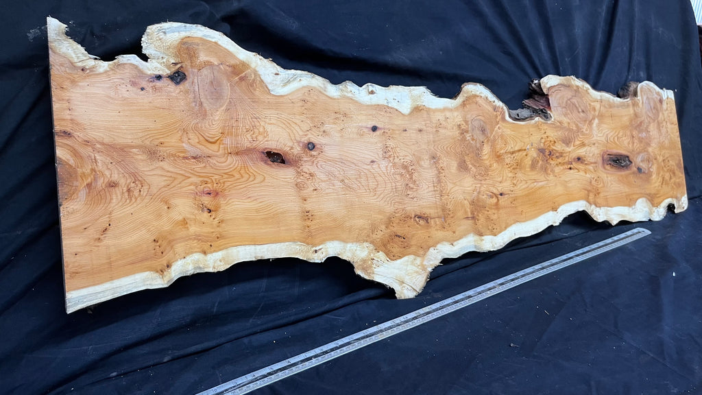 Pippy Yew coffee table top, hardwood, slab, board, 1342 L x 336 W x 42 D mm    (599)