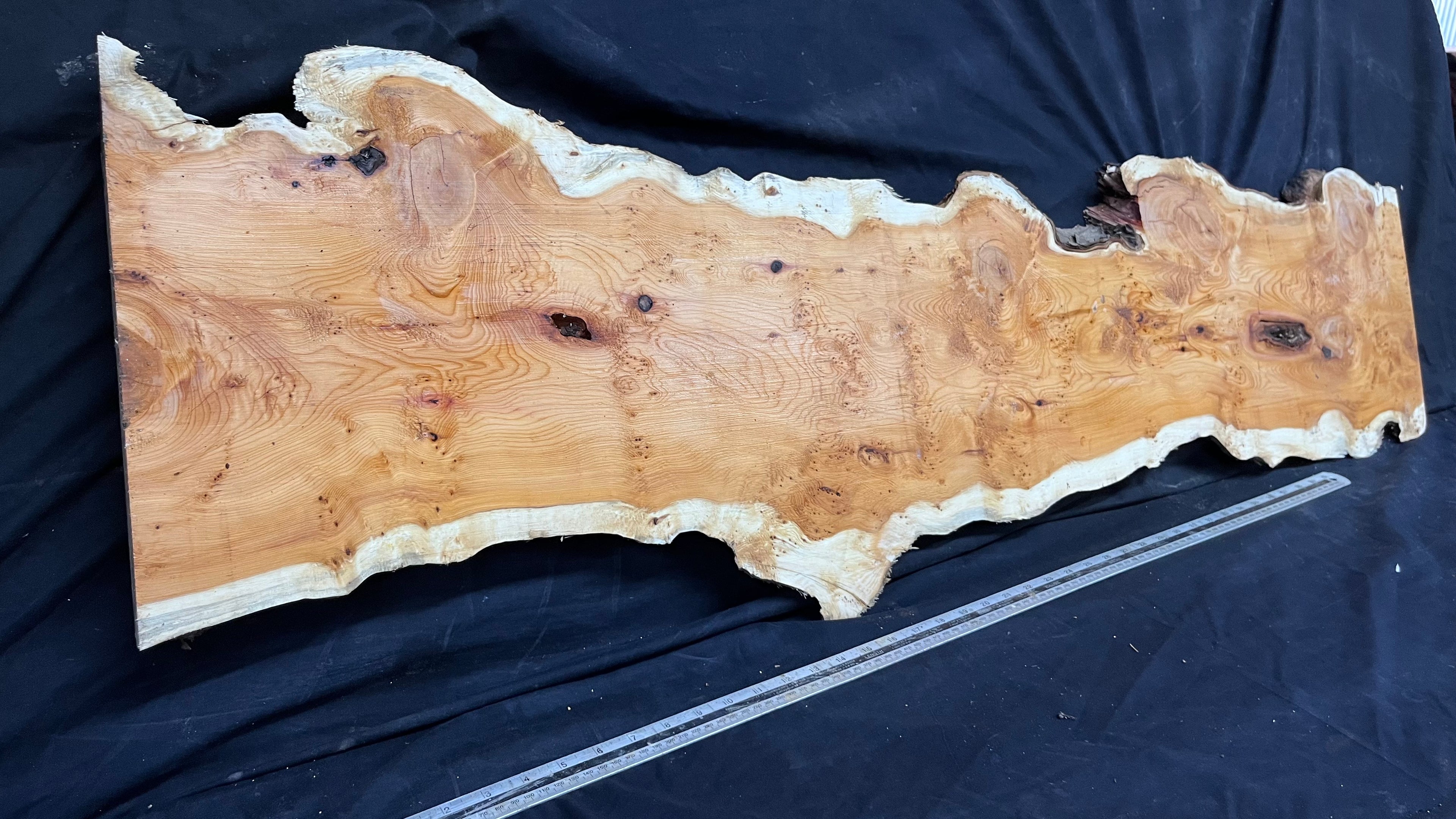 Pippy Yew coffee table top, hardwood, slab, board, 1342 L x 336 W x 42 D mm    (599)