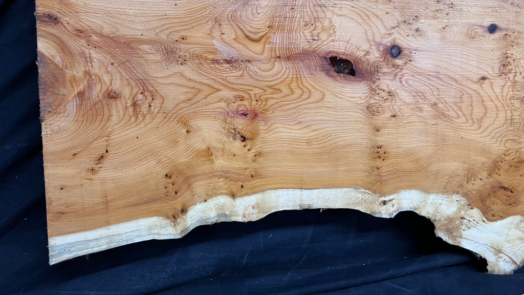 Pippy Yew coffee table top, hardwood, slab, board, 1342 L x 336 W x 42 D mm    (599)
