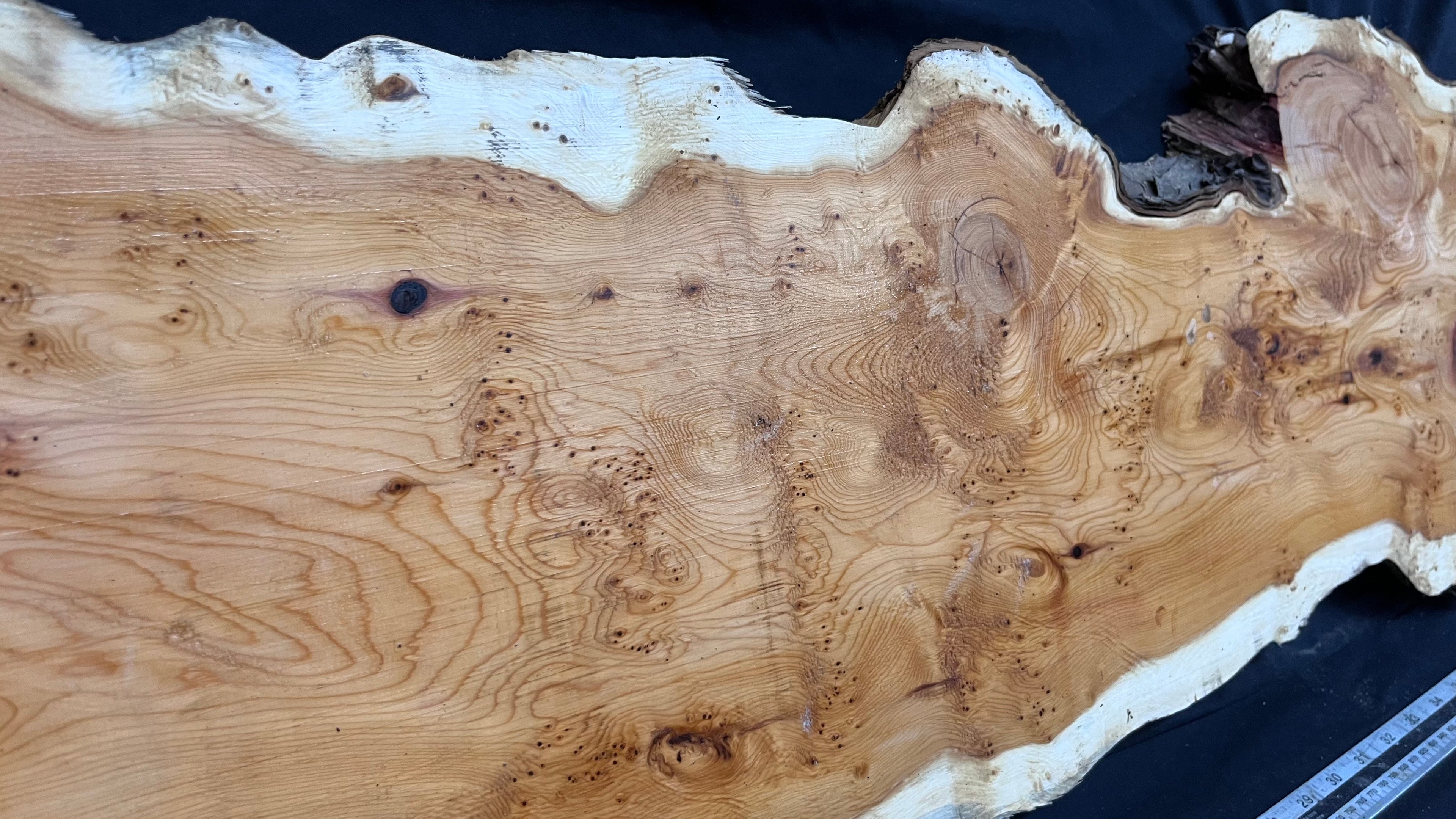 Pippy Yew coffee table top, hardwood, slab, board, 1342 L x 336 W x 42 D mm    (599)