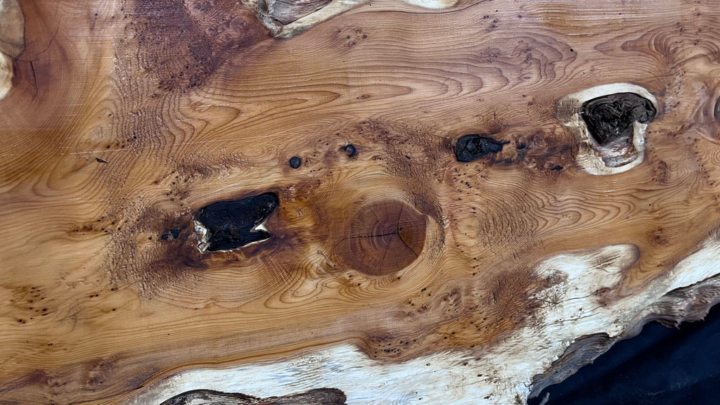 Pippy Yew coffee table top, hardwood, slab, board, 1262 L x 465 W x 43 D mm    (600)