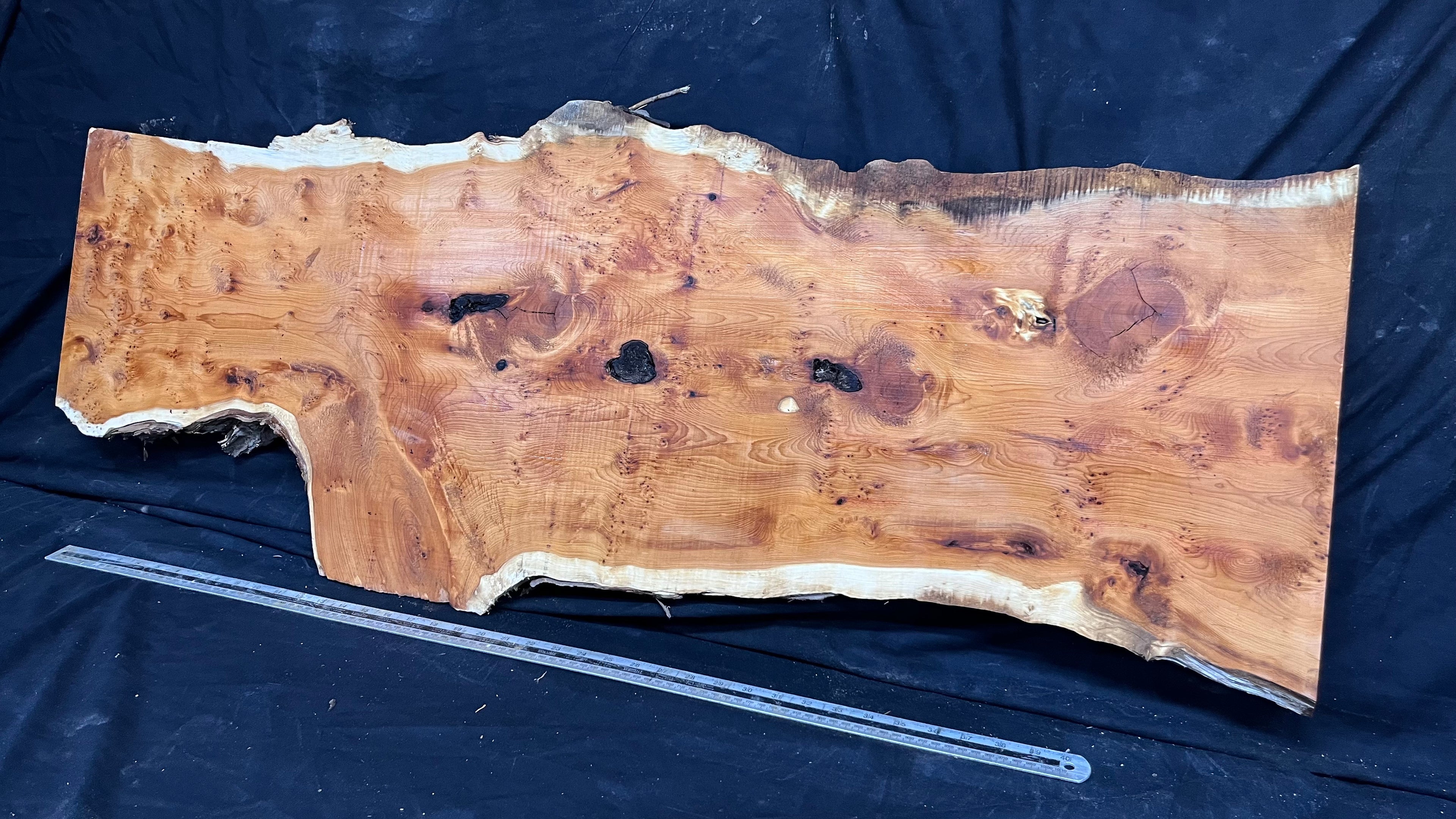 Pippy Yew coffee table top, hardwood, slab, board, 1262 L x 465 W x 43 D mm    (600)