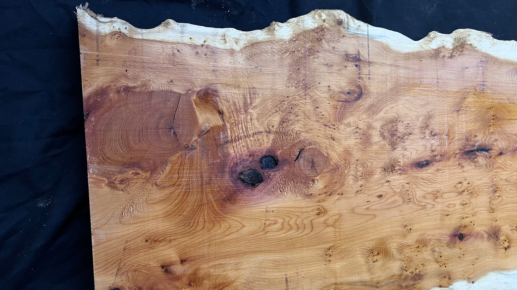 Pippy Yew coffee table top, hardwood, slab, board, 1262 L x 465 W x 43 D mm    (600)