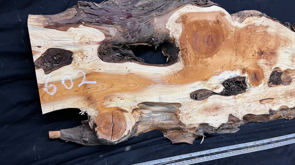 Pippy Yew coffee table top, hardwood, slab, board, 1262 L x 465 W x 43 D mm    (600)