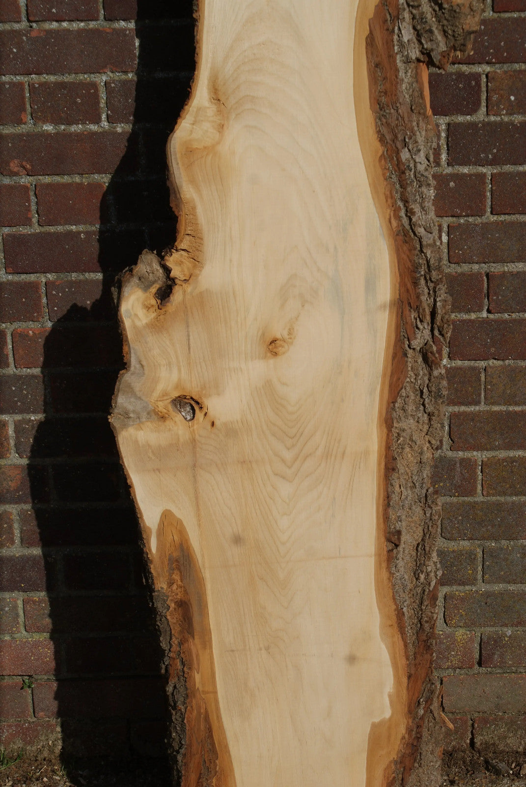 Lime 1857 L x 485 - 260 W x 37 D (mm) (26)