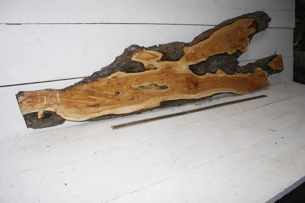 English Yew 1660 L x 495-115 W x 35 D (mm) (151)