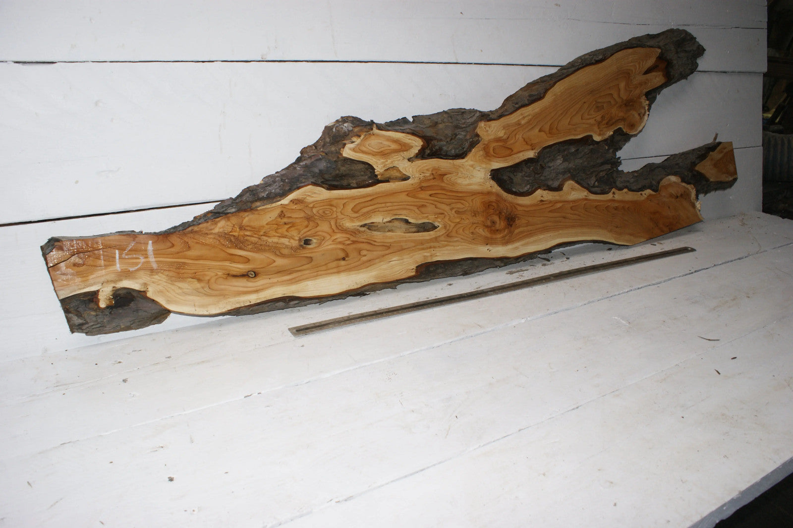 English Yew 1660 L x 495-115 W x 35 D (mm) (151)